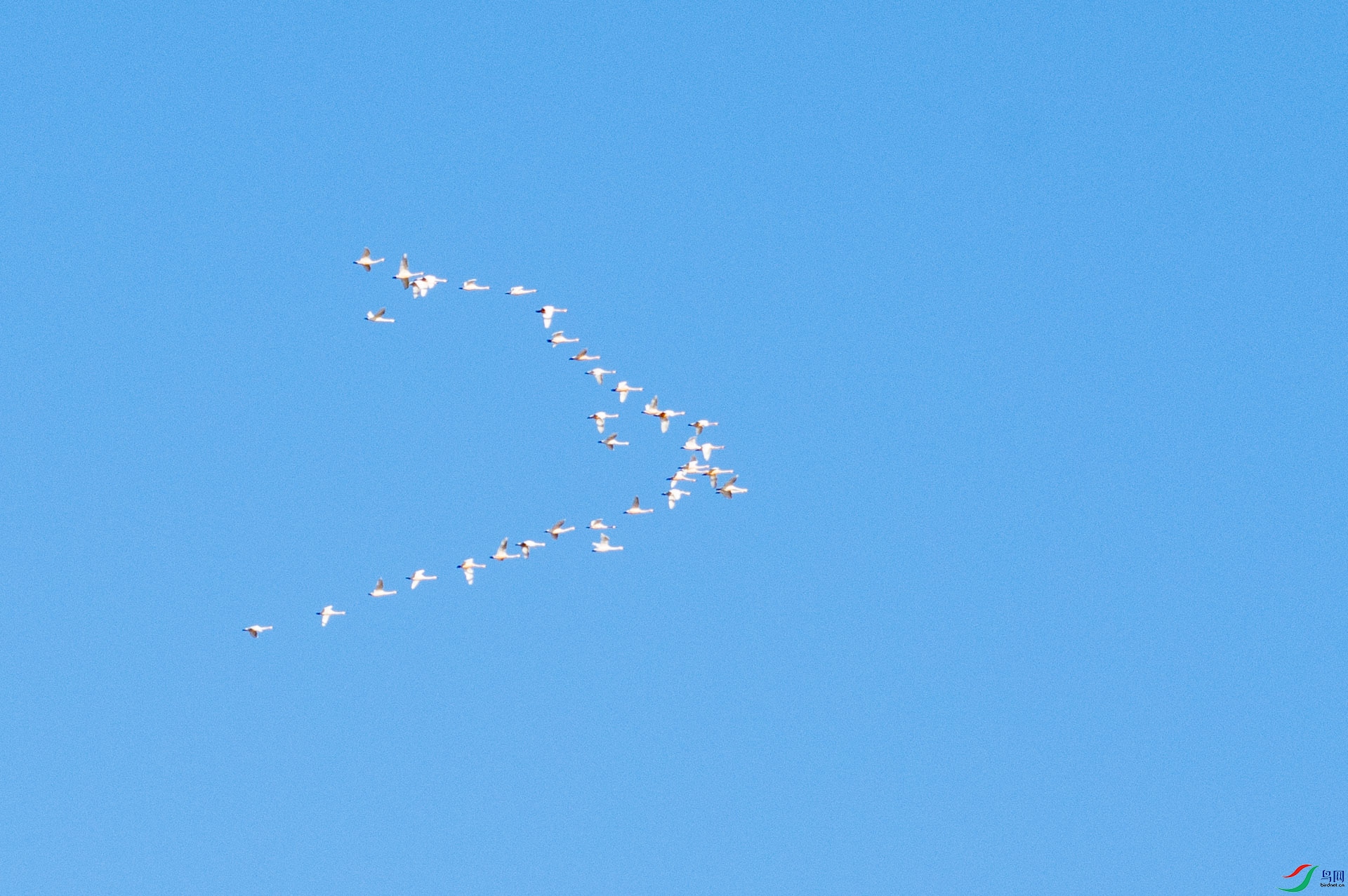 DSC_7505.jpg