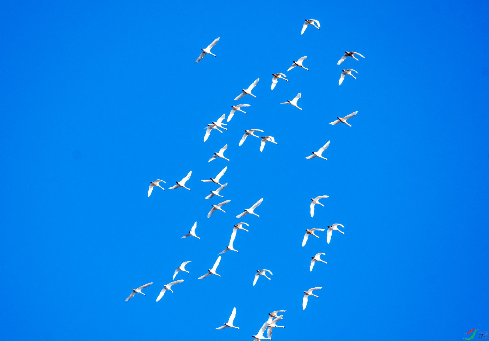 DSC_7540.jpg