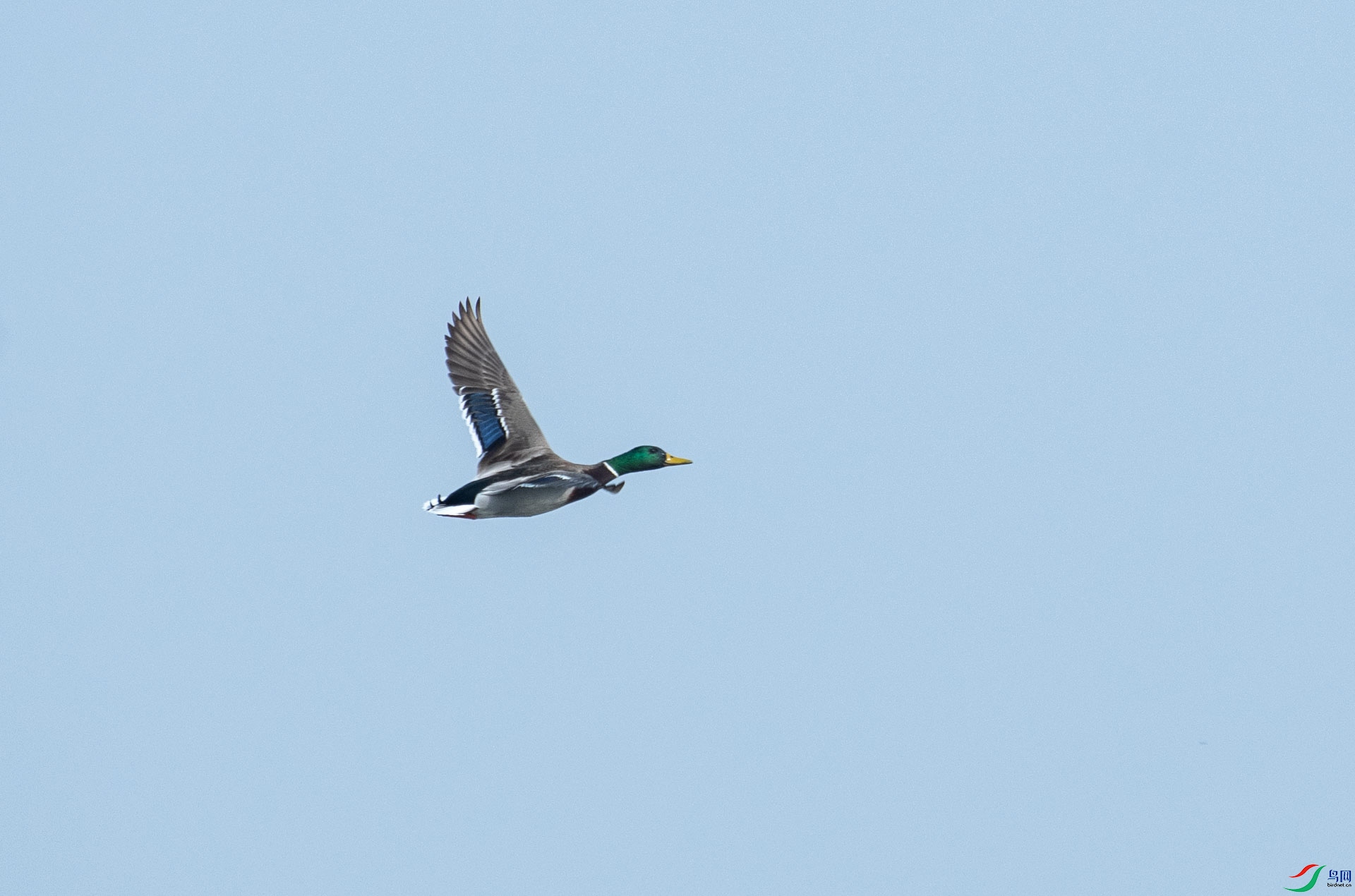 DSC_8298.jpg