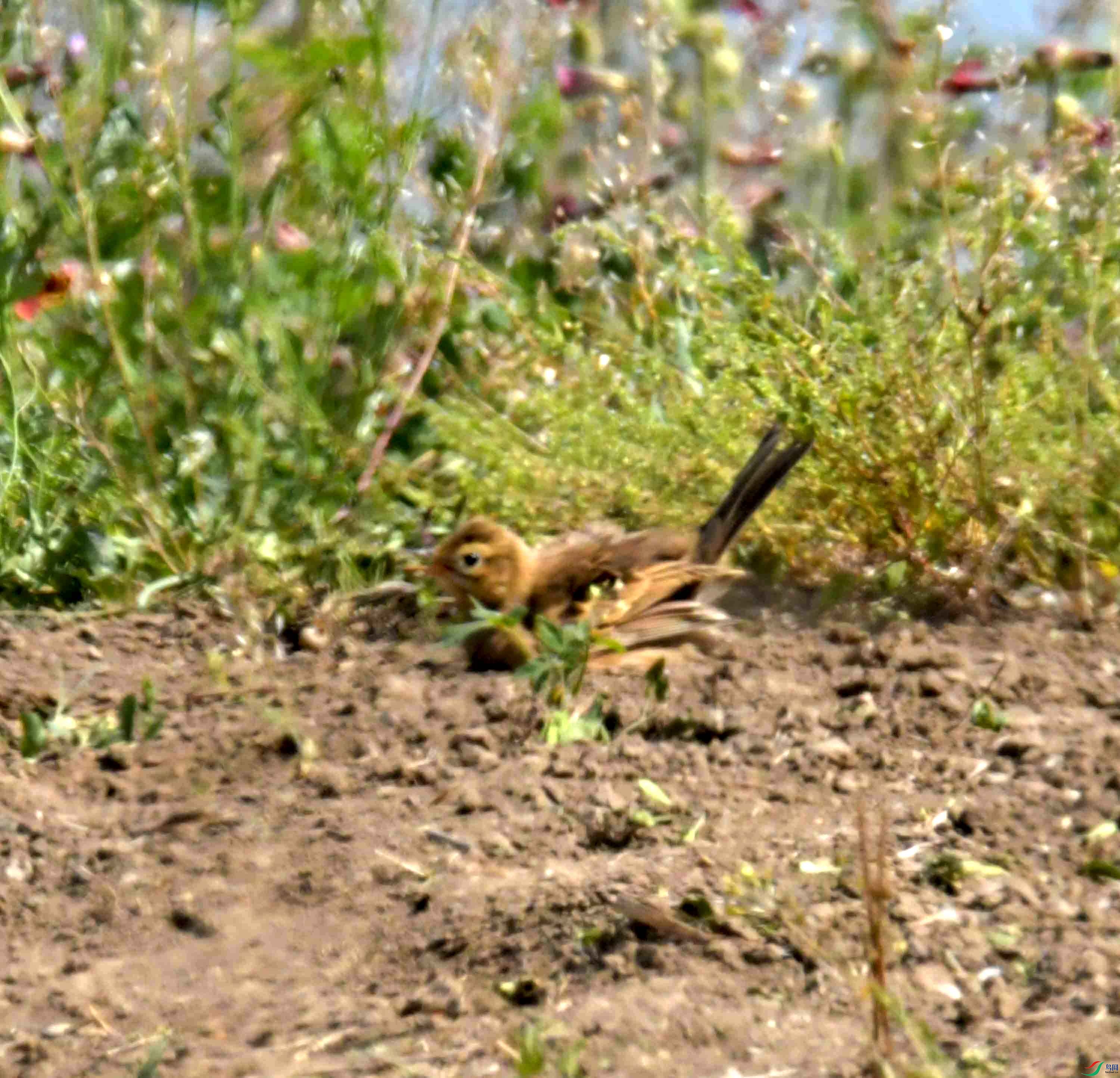 DSC_1402.JPG