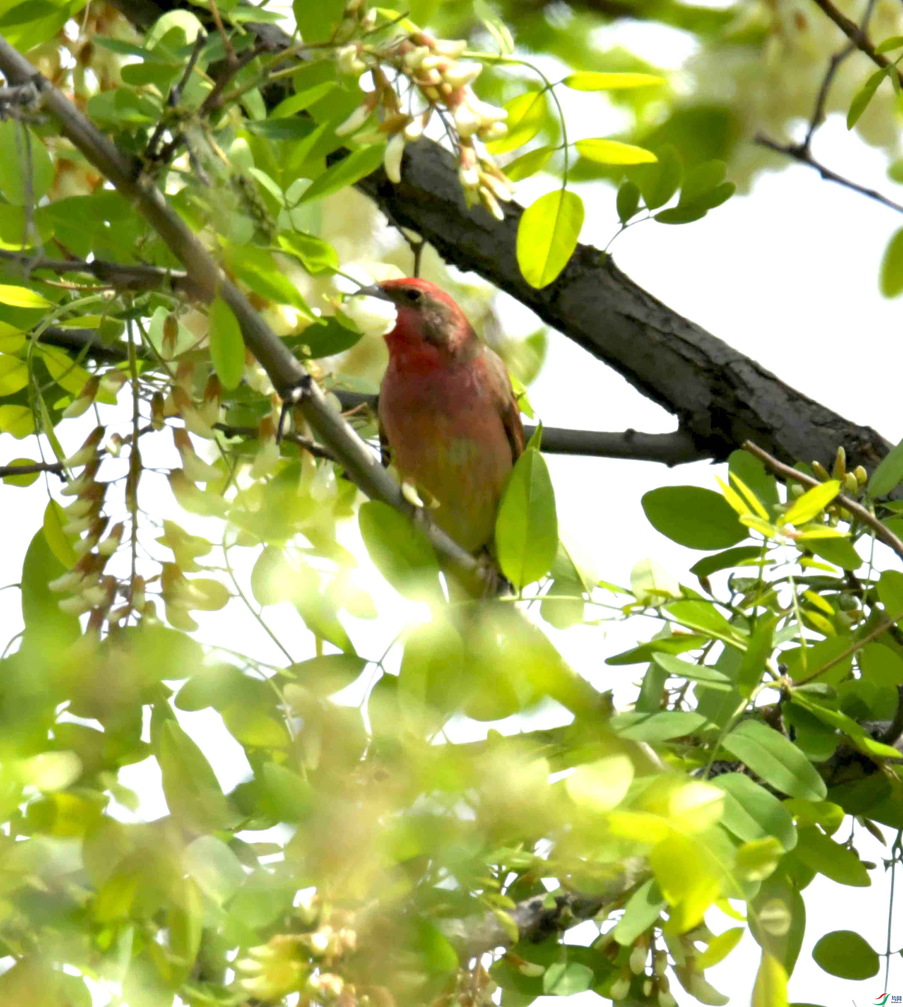 DSC_8312.JPG