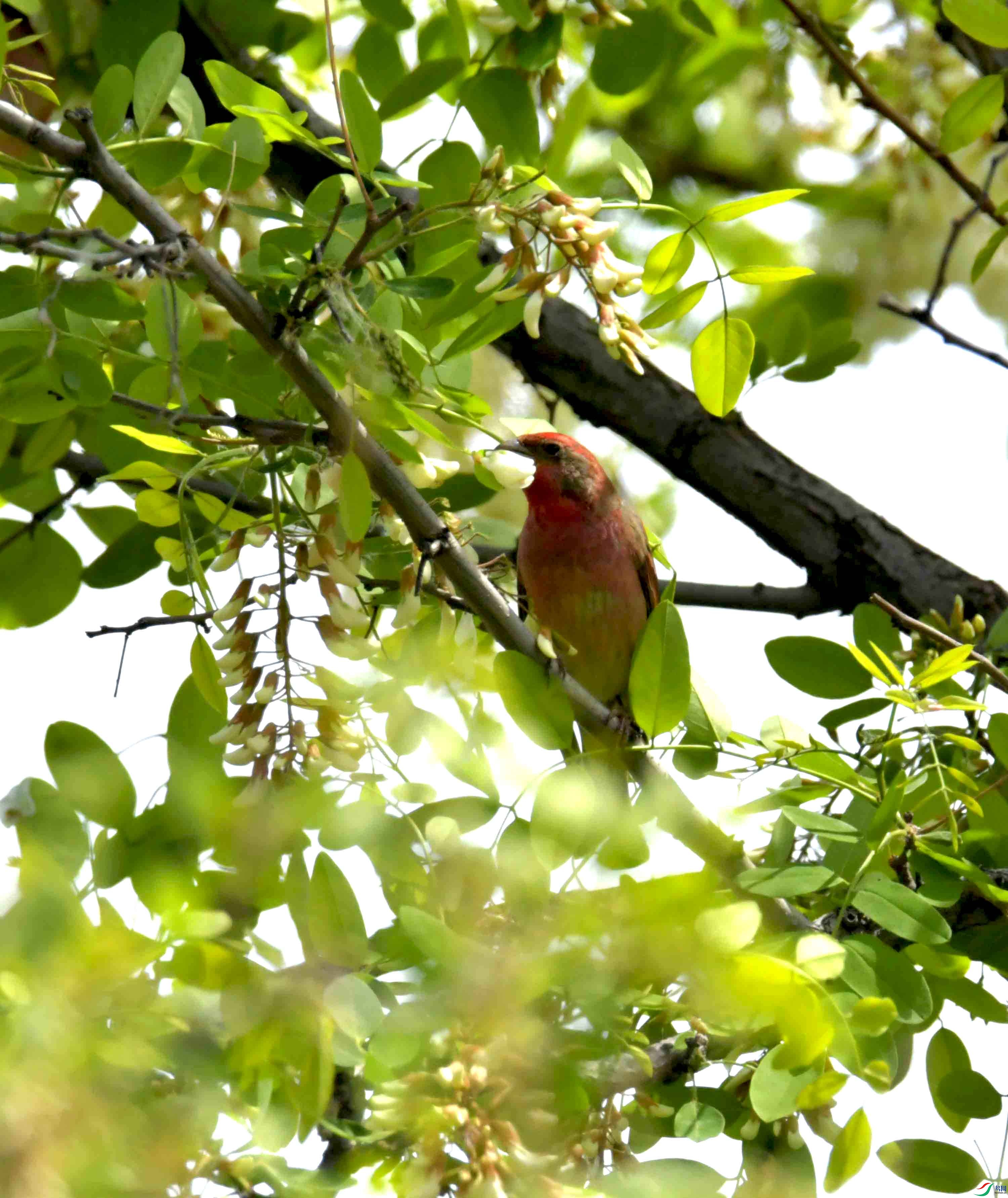 DSC_8313.JPG