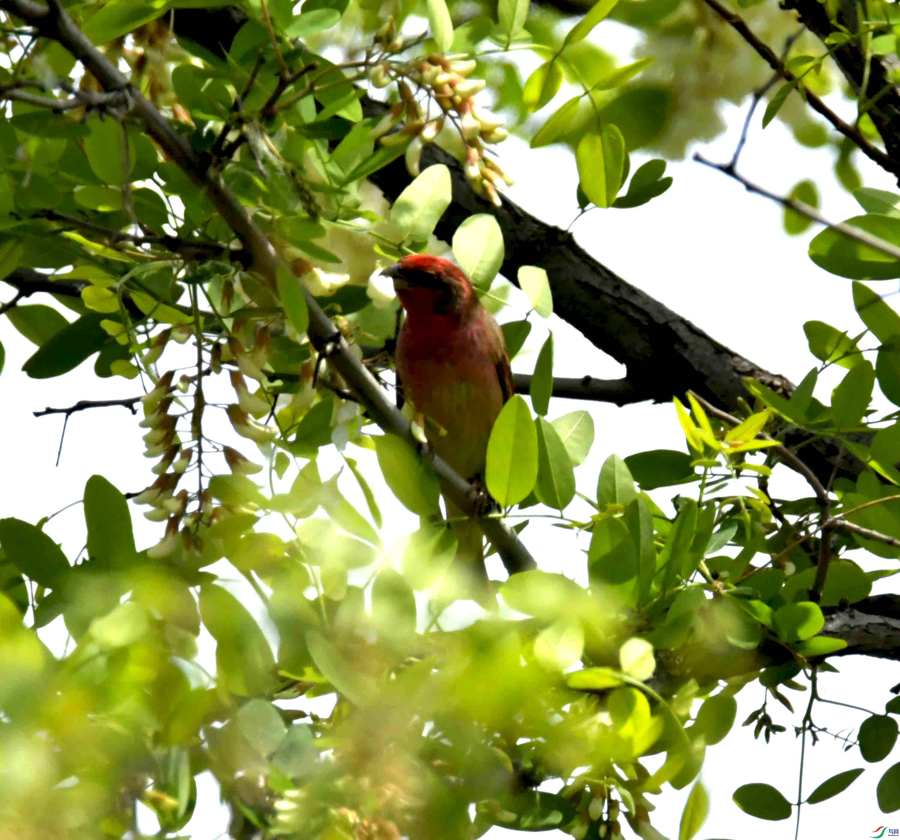 DSC_8310.JPG