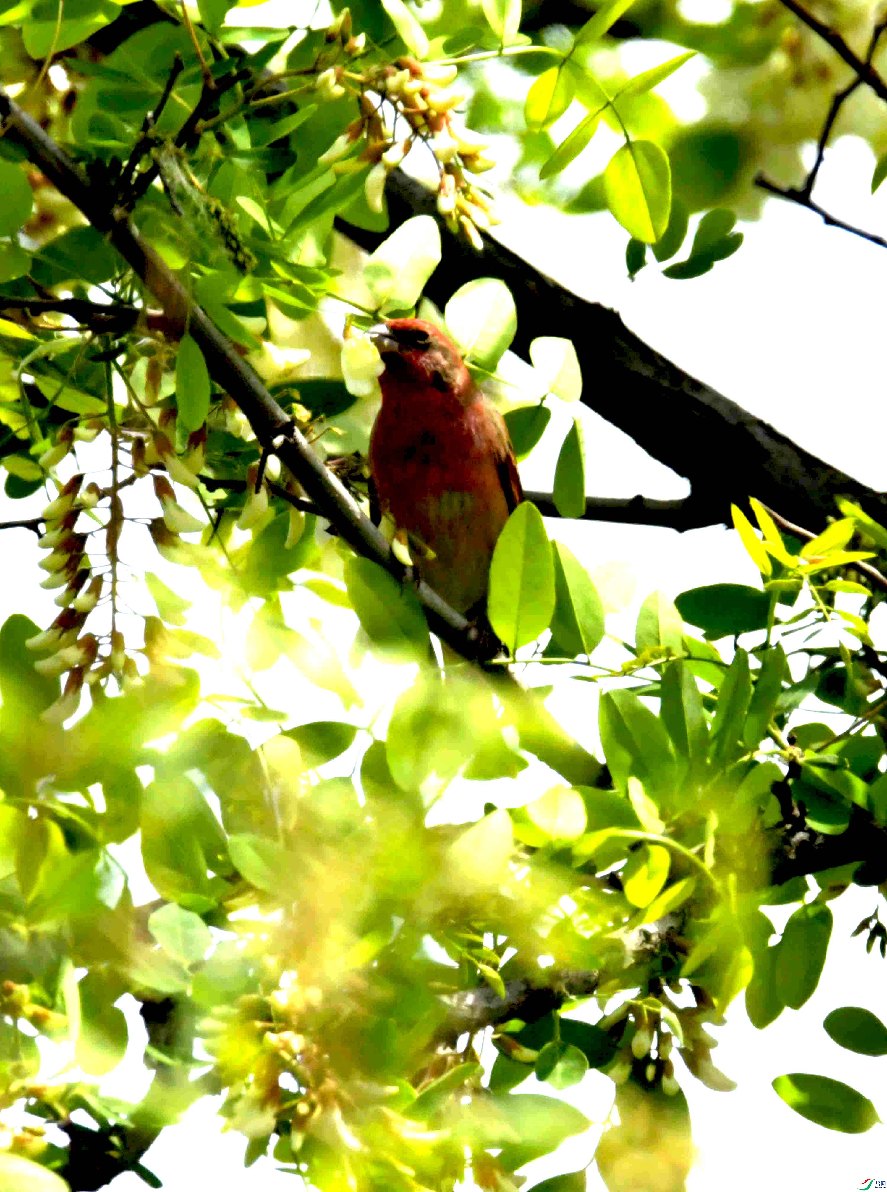 DSC_8321.JPG