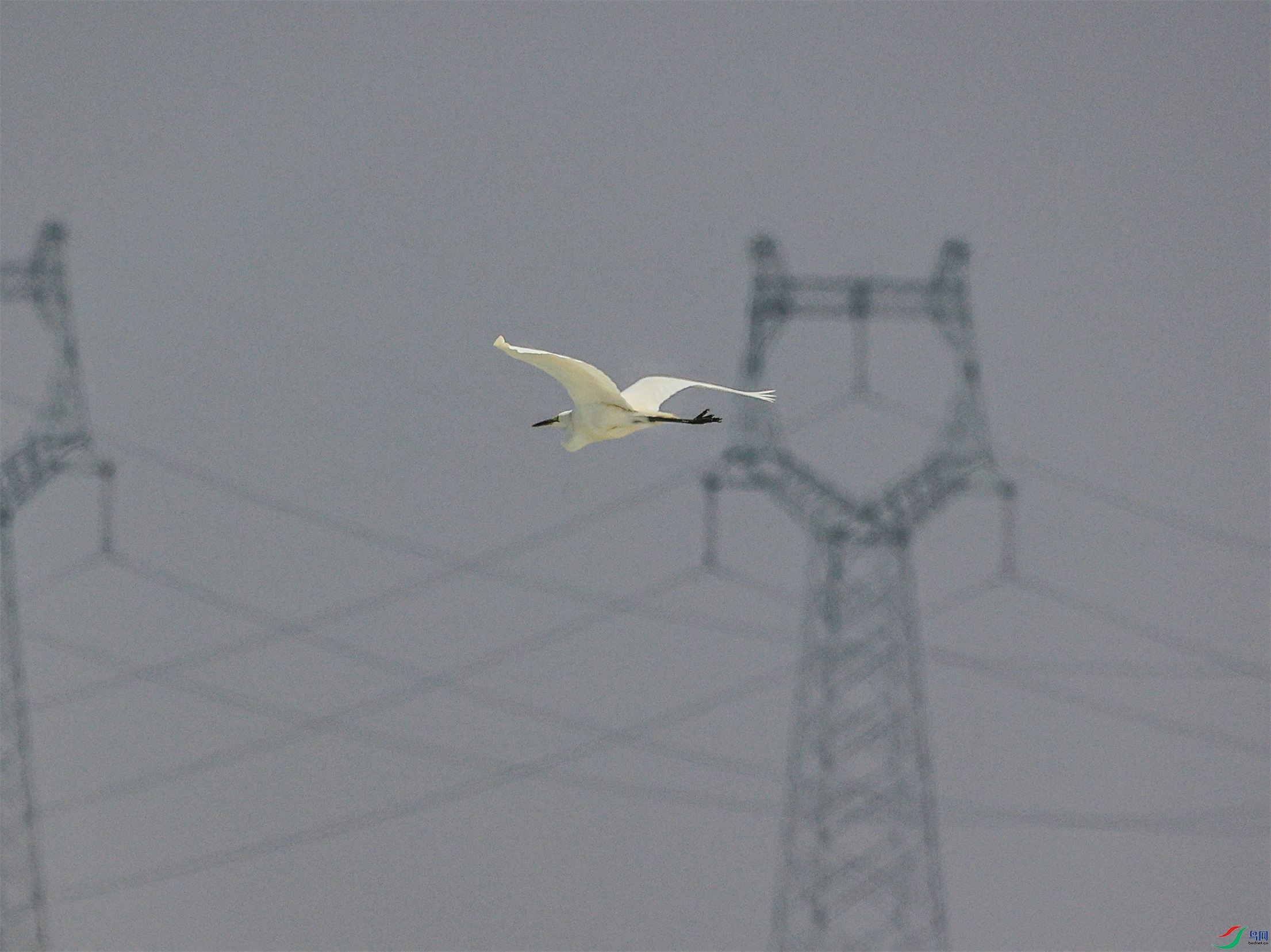 1K3A9950 ����1.jpg