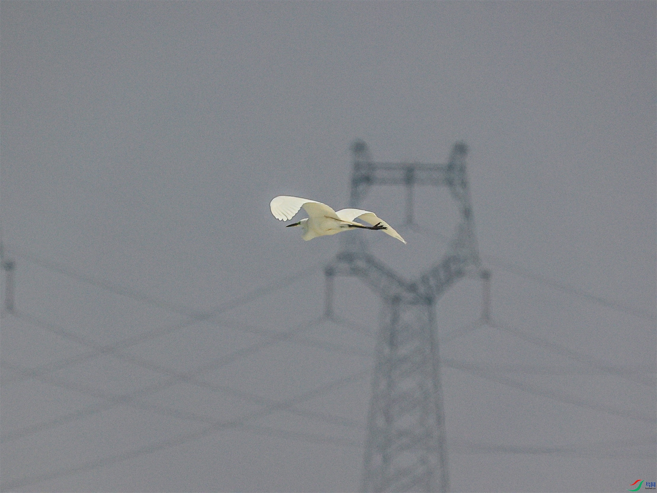 1K3A9949 ����1.jpg