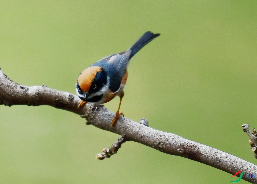 DSC_3789_����.jpg