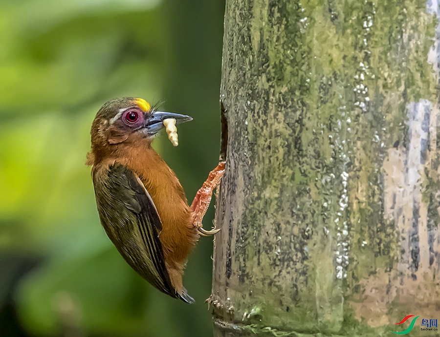 ��ü����ľ��