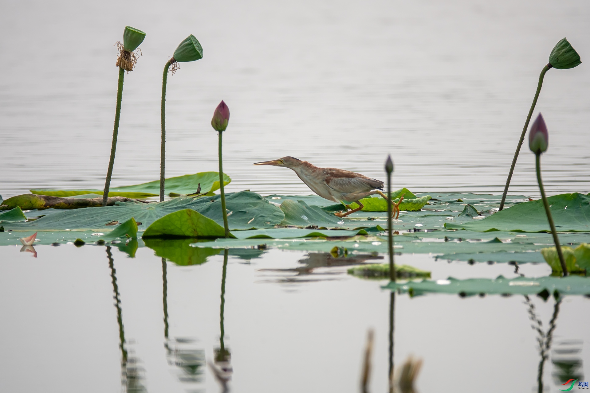 DSC08109��.jpg