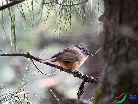 DSC_6044.JPG