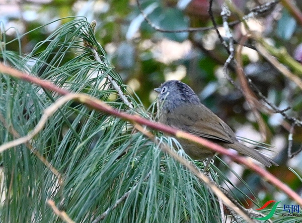 DSC_6029.JPG
