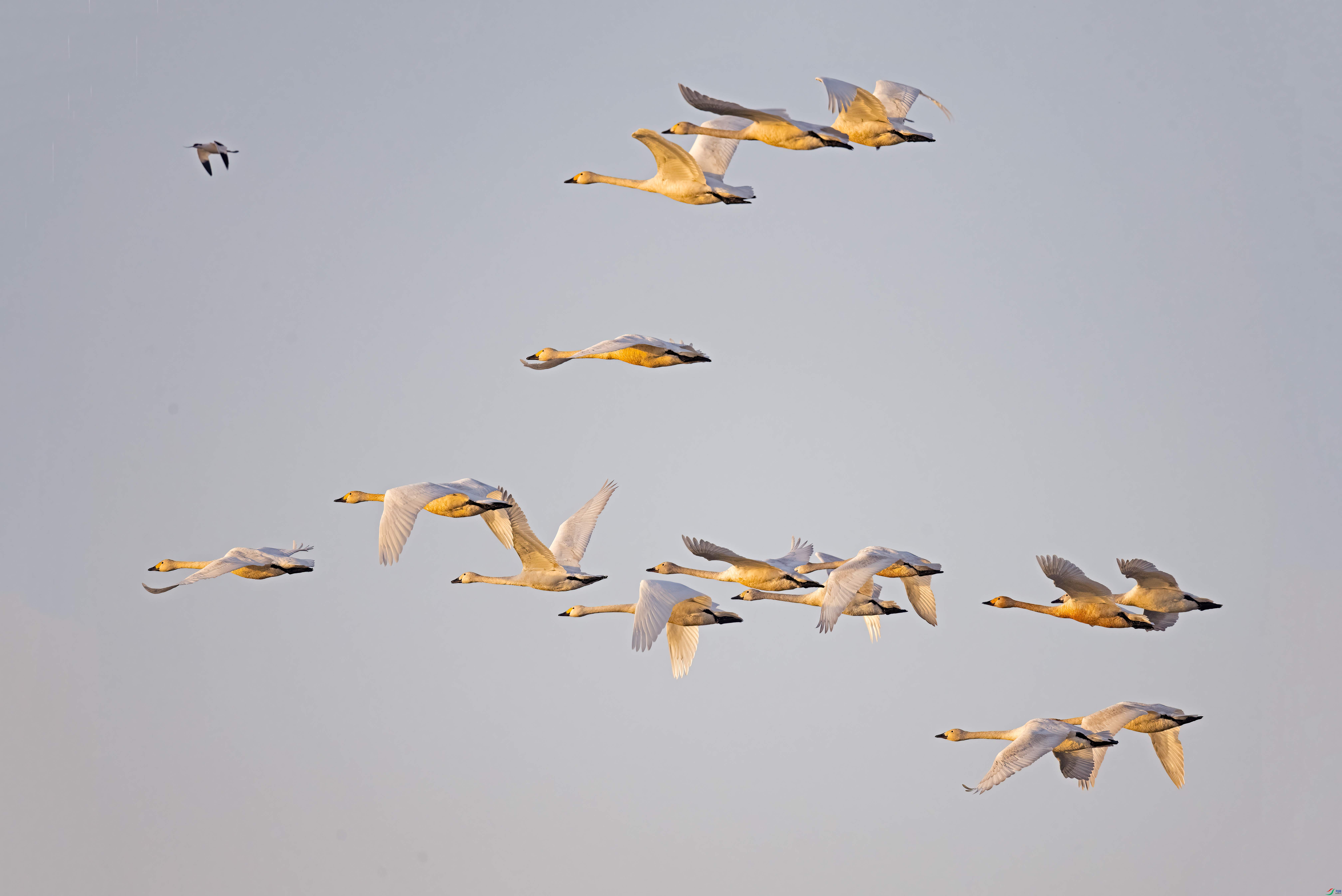 DSC_0832-2.jpg