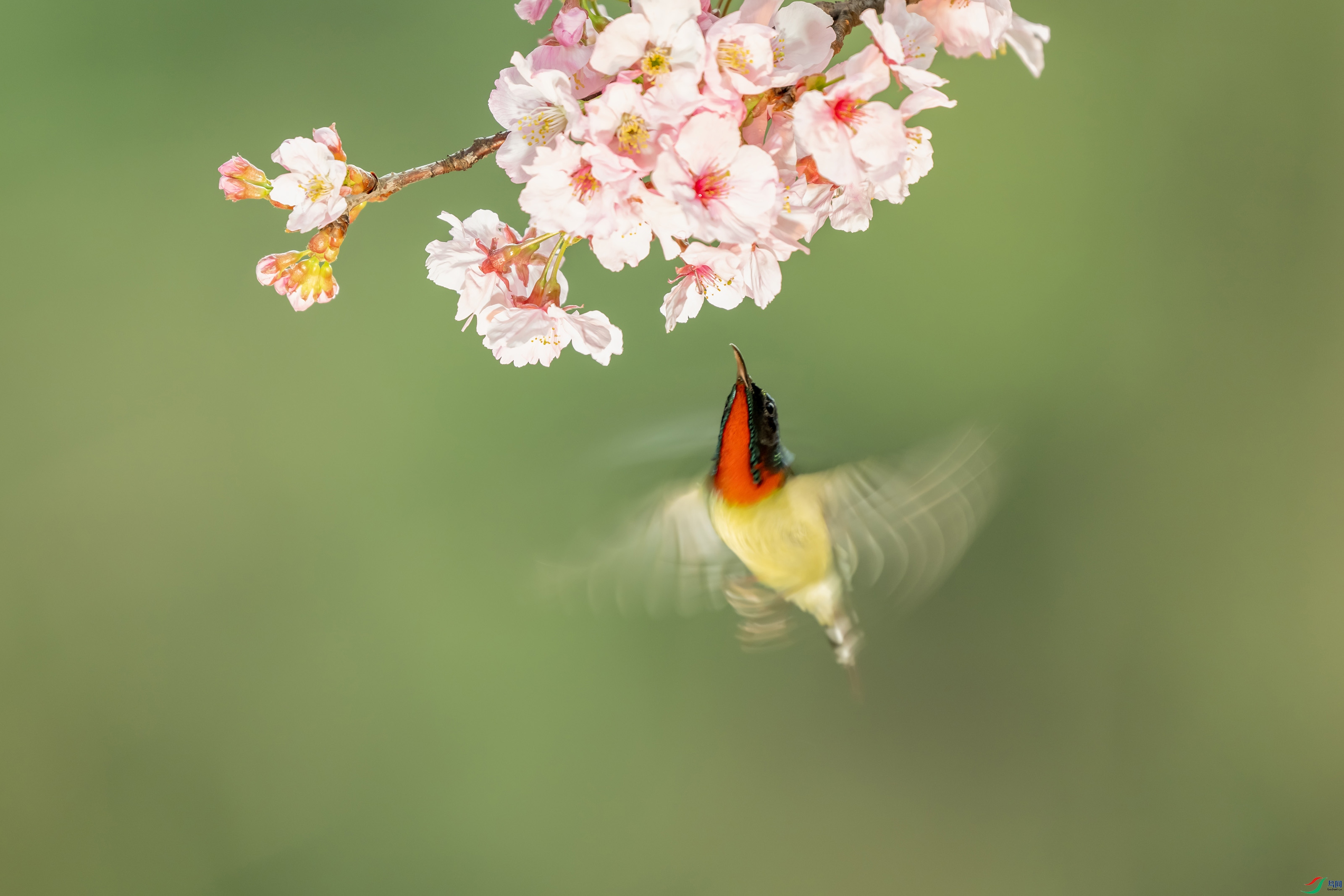 DSC_3077 ����.jpg