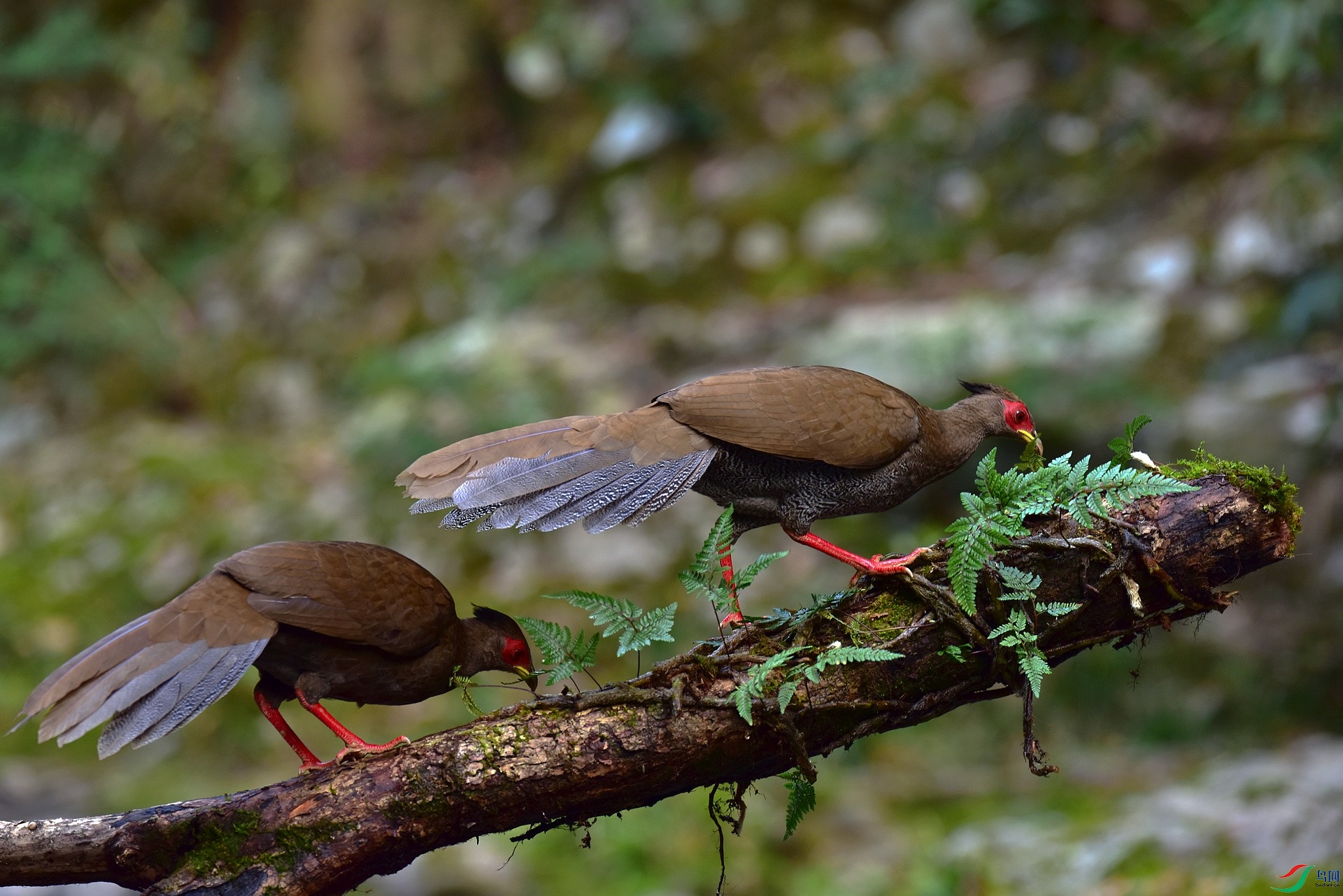 D8I_3858.jpg