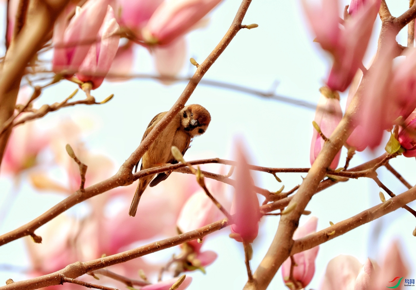 PicsArt_03-22-06.08.41.jpg