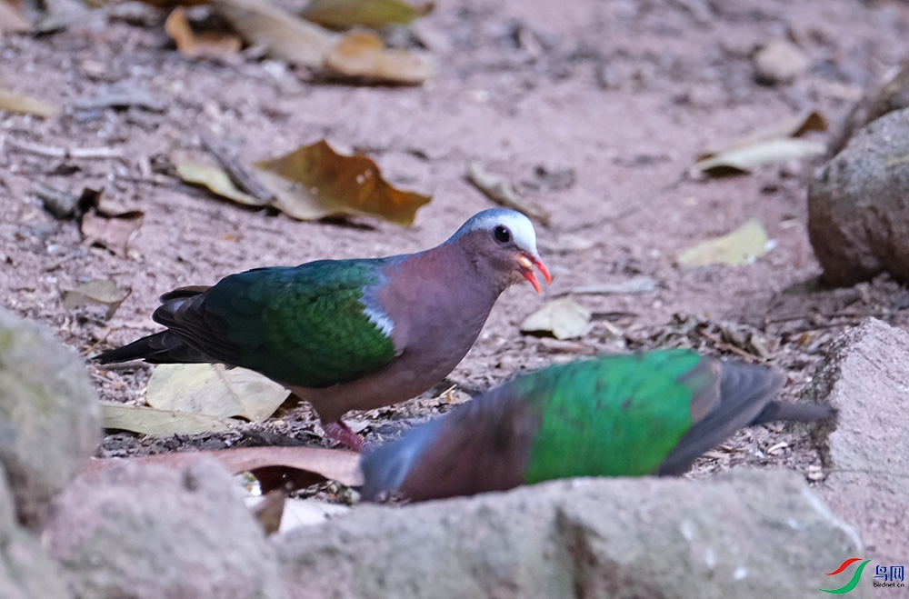 DSCF8908.1.jpg