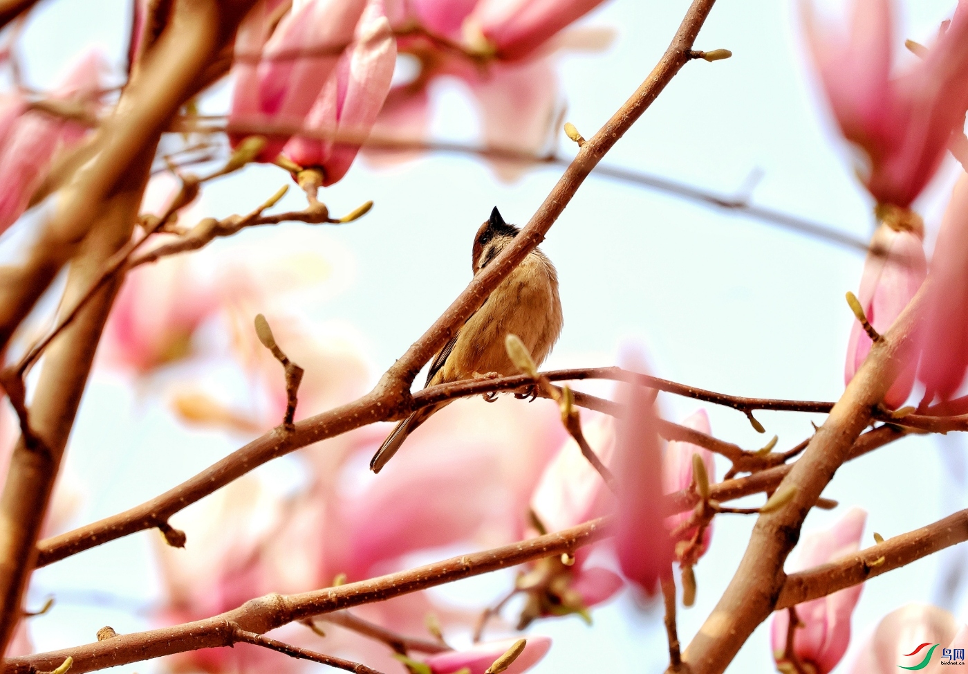 PicsArt_03-22-06.09.23.jpg
