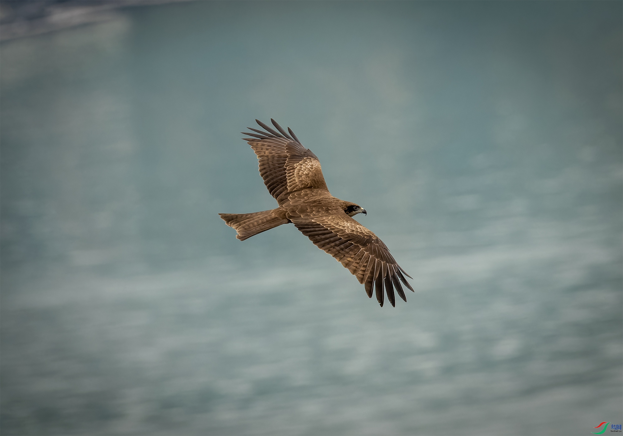 P3224691_DxO-1.jpg