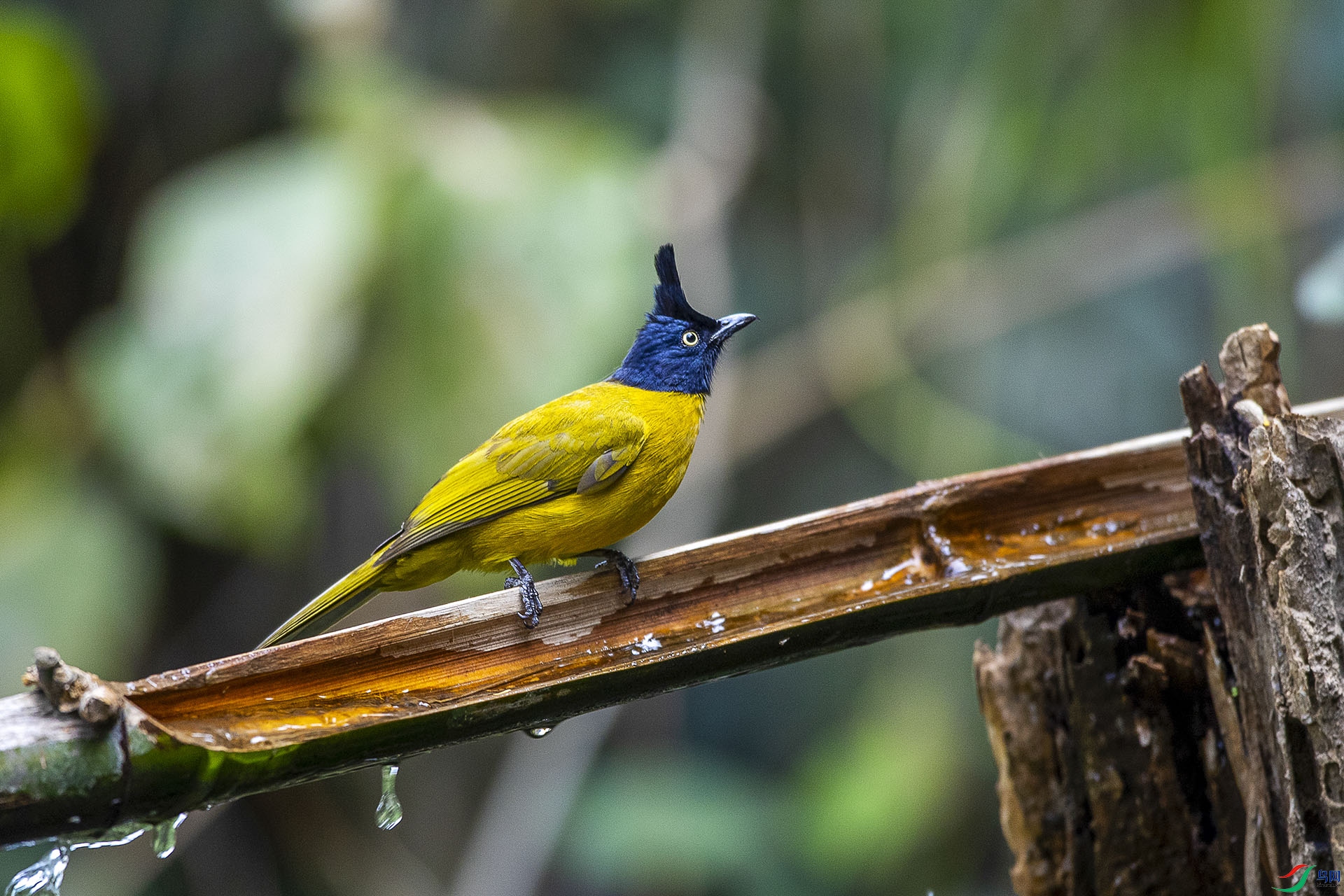 CD0I1026 ����.jpg