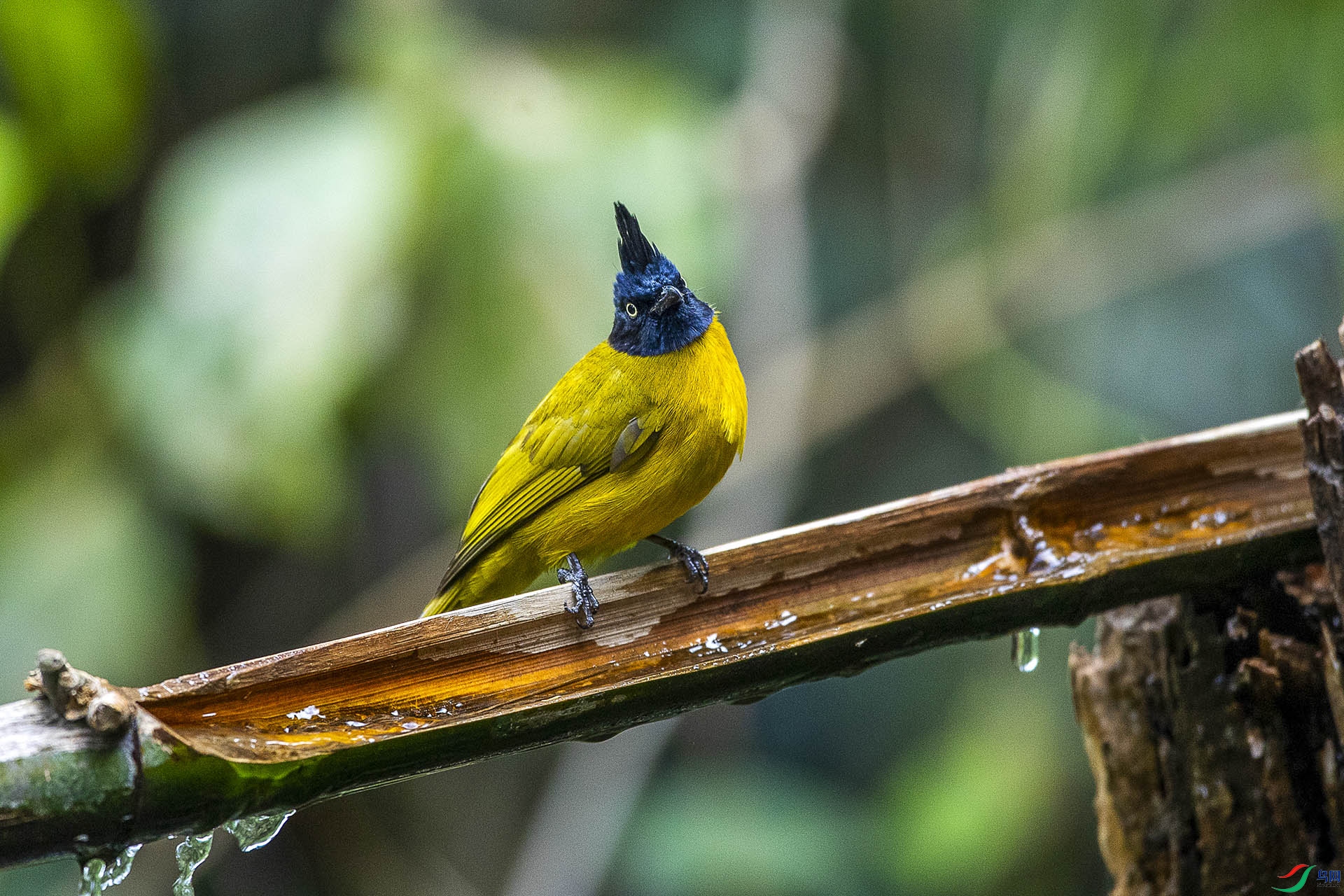 CD0I1071 ����.jpg