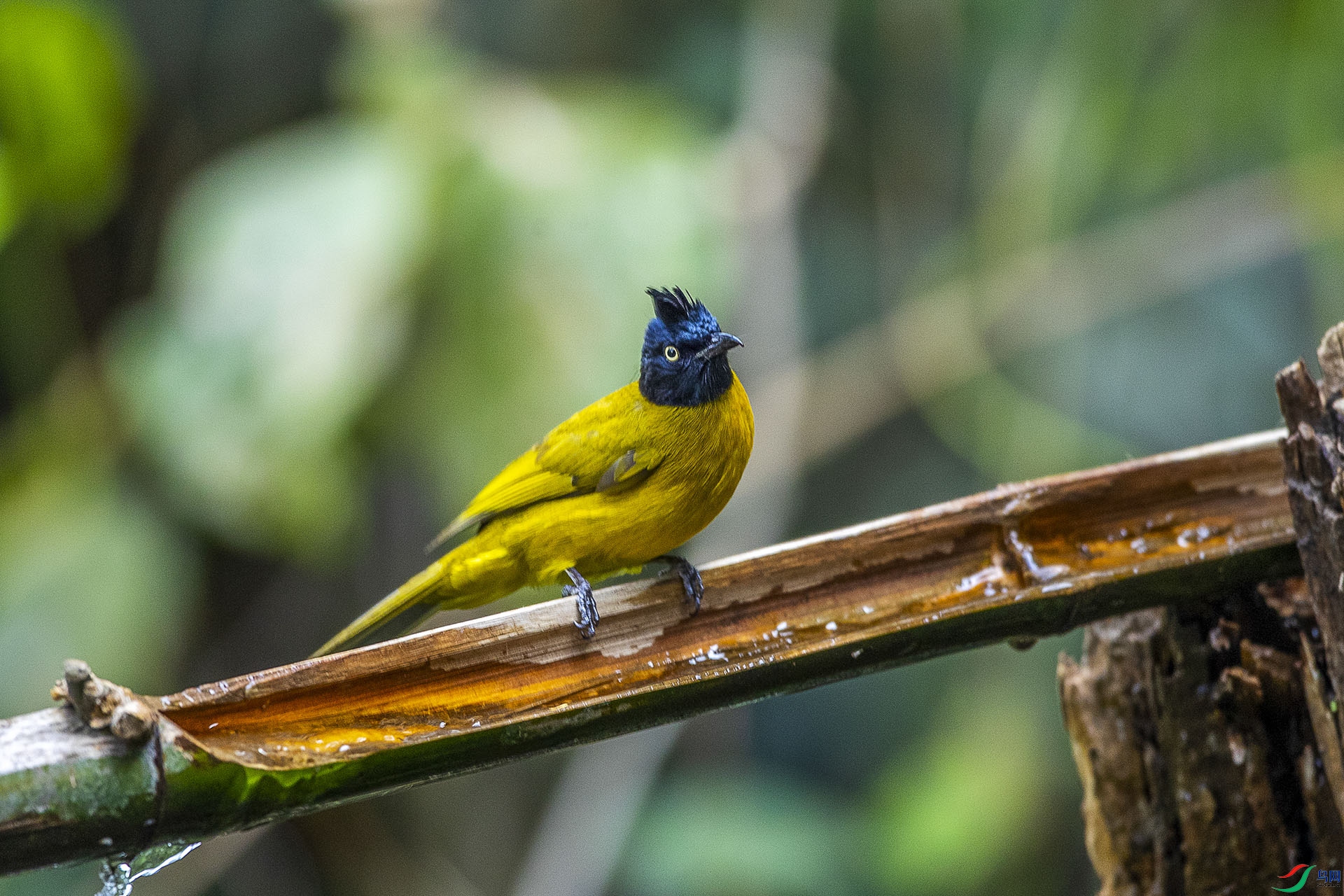 CD0I1033 ����.jpg