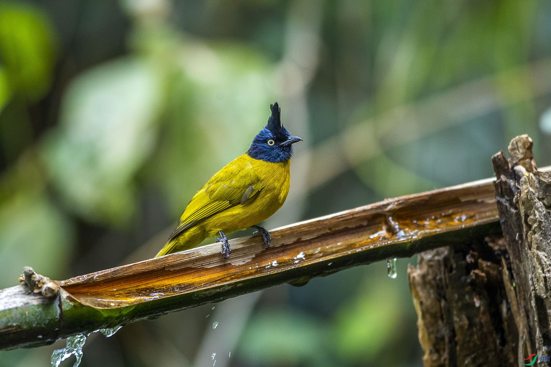 CD0I1060 ����.jpg