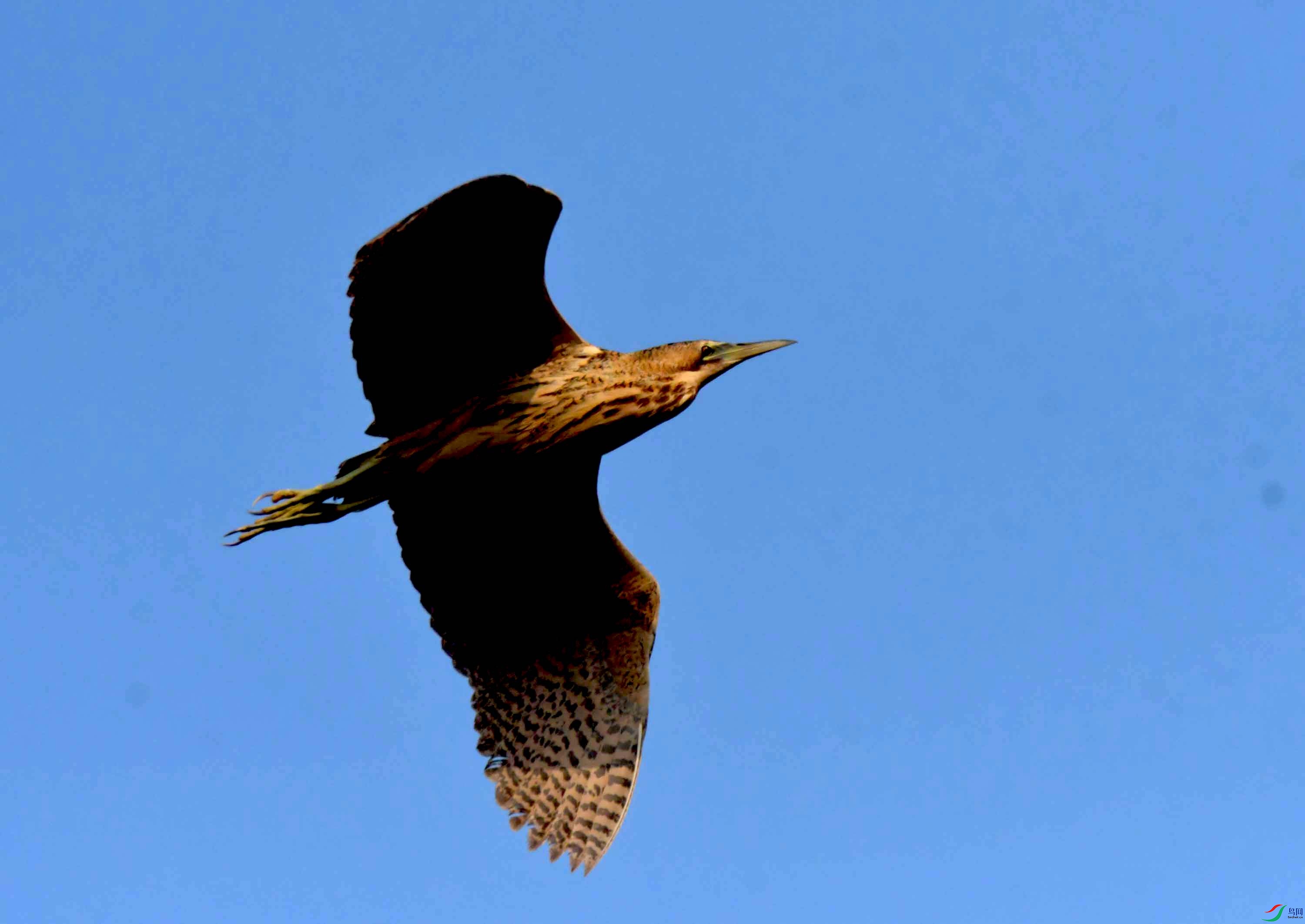 DSC_0256.JPG