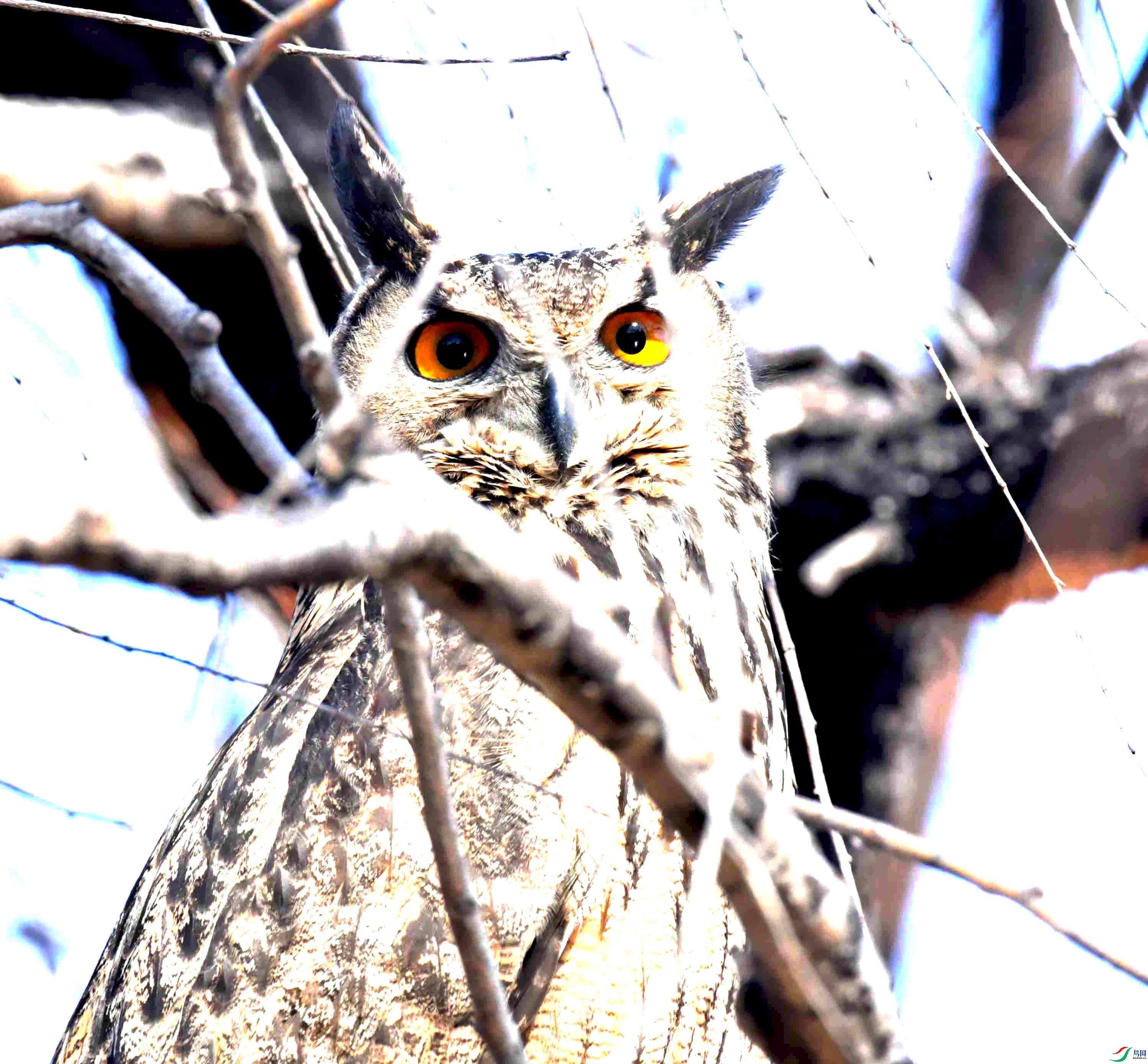 DSC_6023.JPG