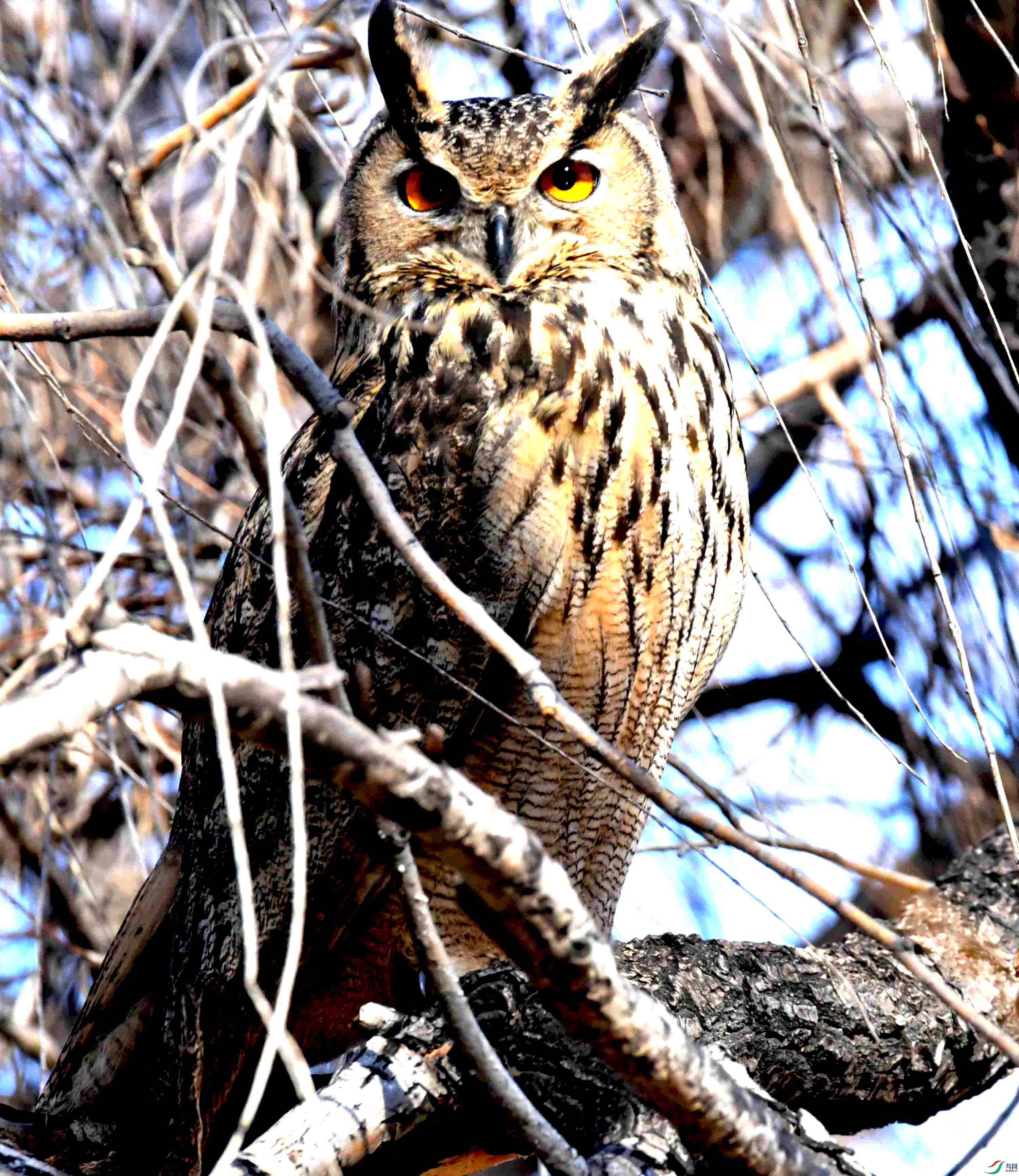 DSC_6042.JPG