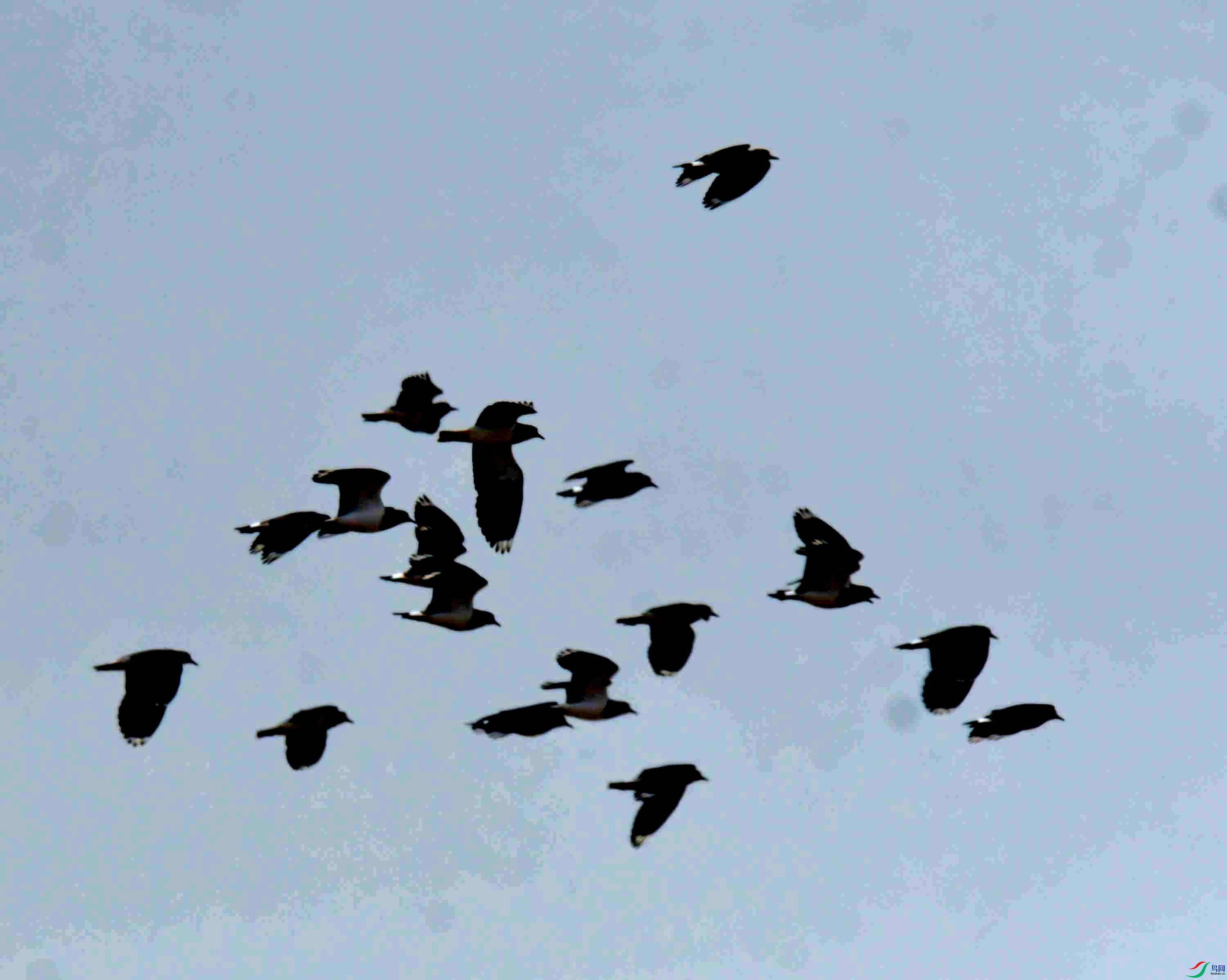 DSC_2318.JPG
