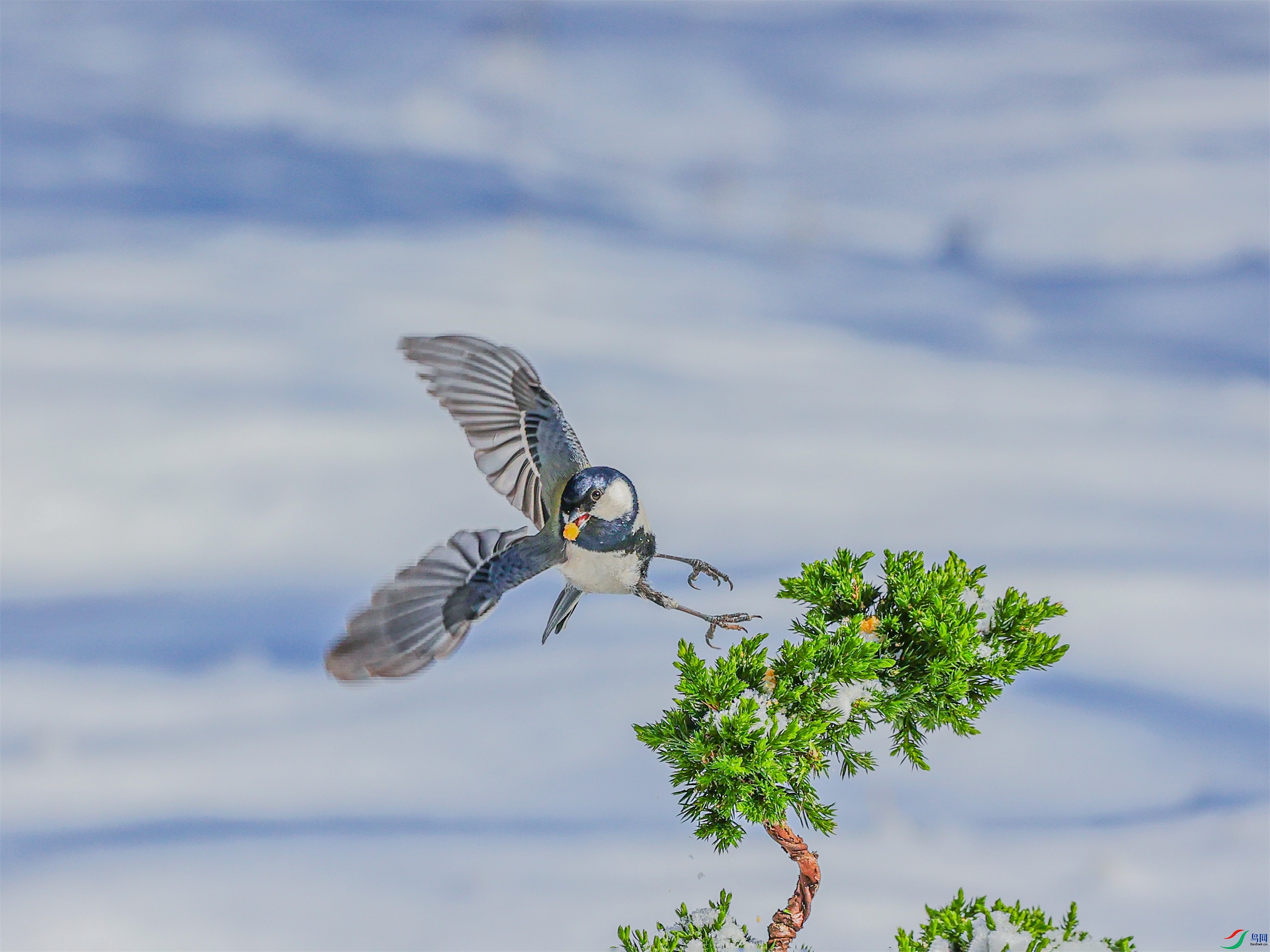 1K3A0738 ����1.jpg