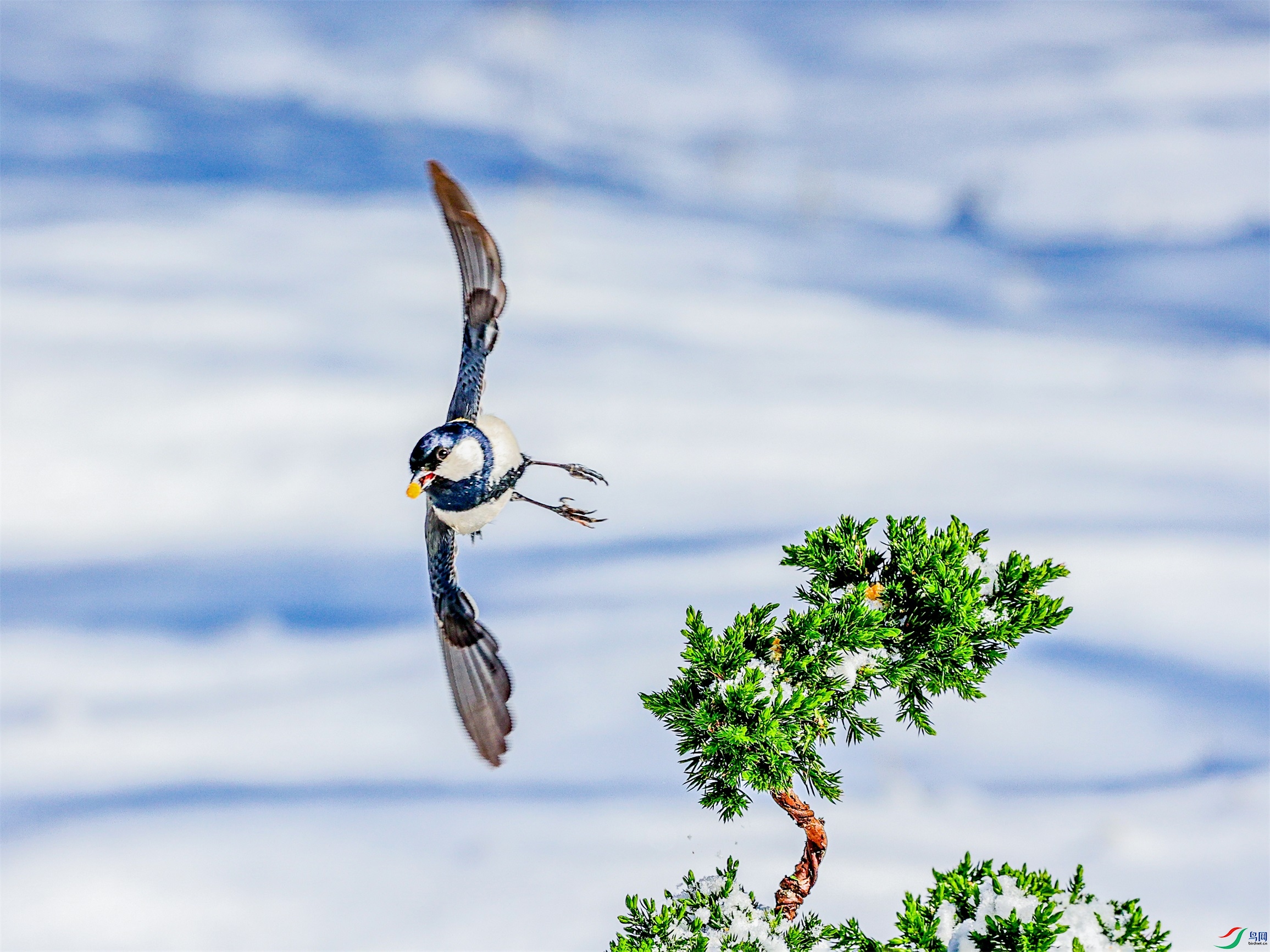 1K3A0739 ����1.jpg