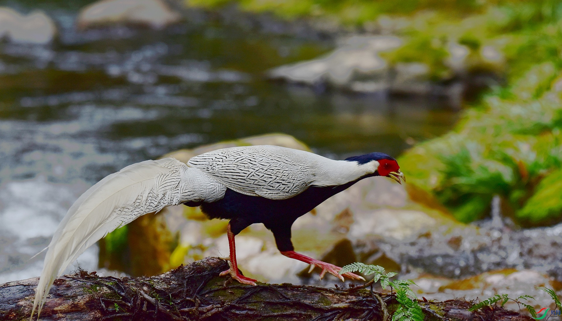D8I_7910.jpg