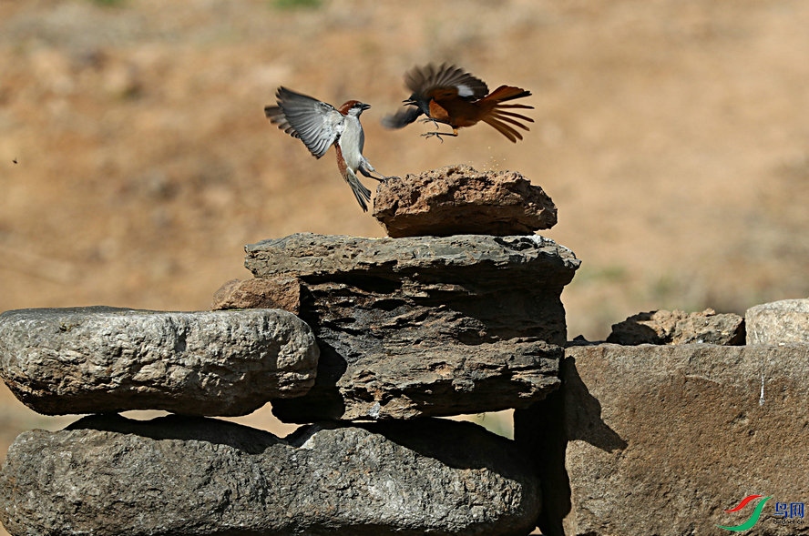 �����衷_����.jpg