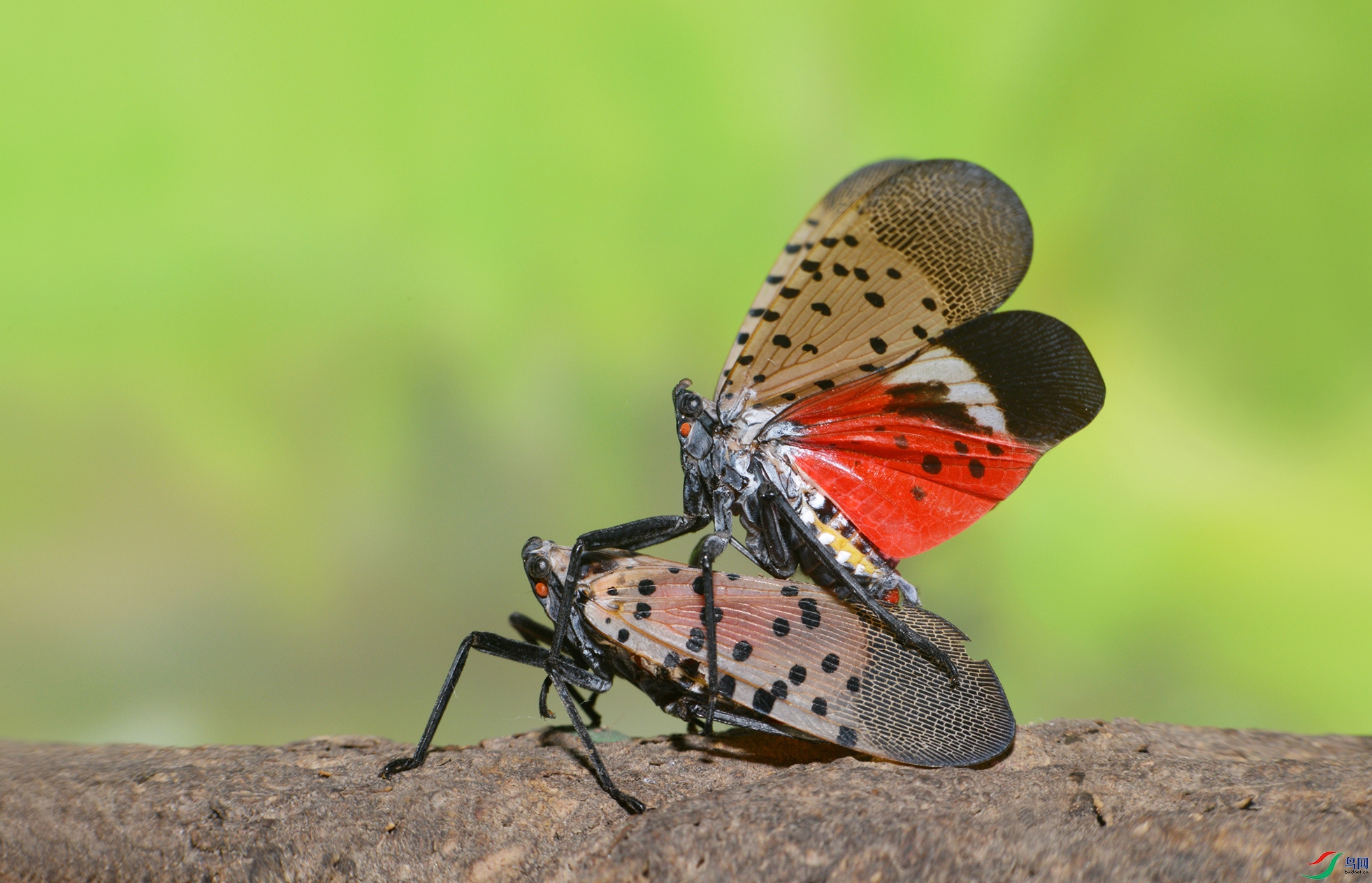 DSC_3644 ��������.jpg