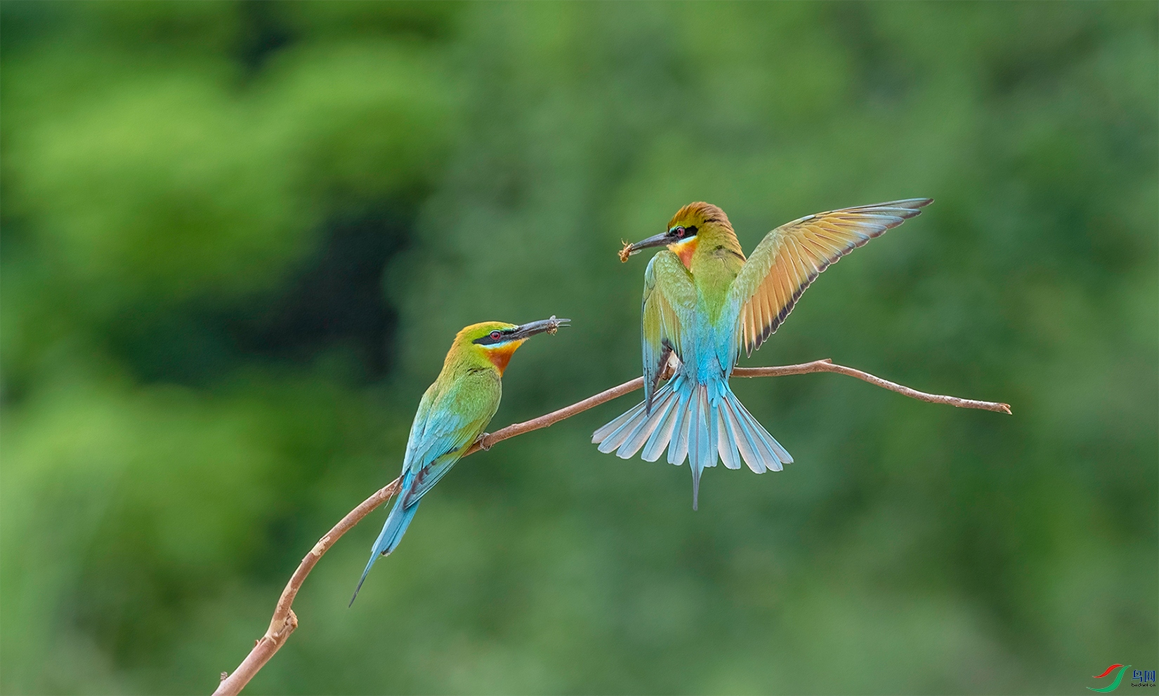 _DSC0779-1 ����.jpg