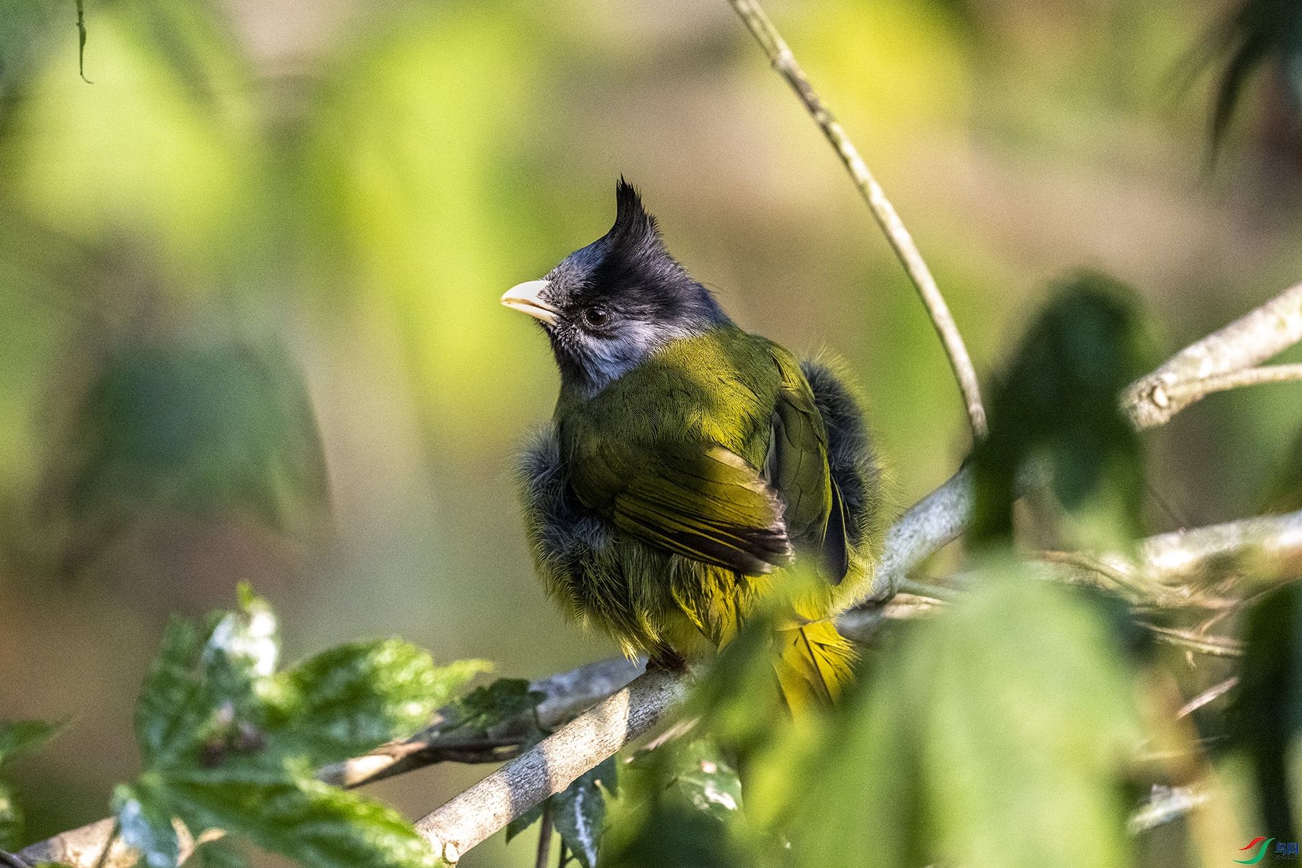 DSC_6810.jpg