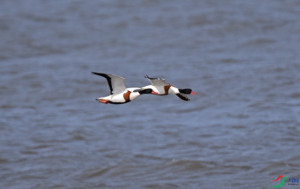 DSC_5344f.jpg