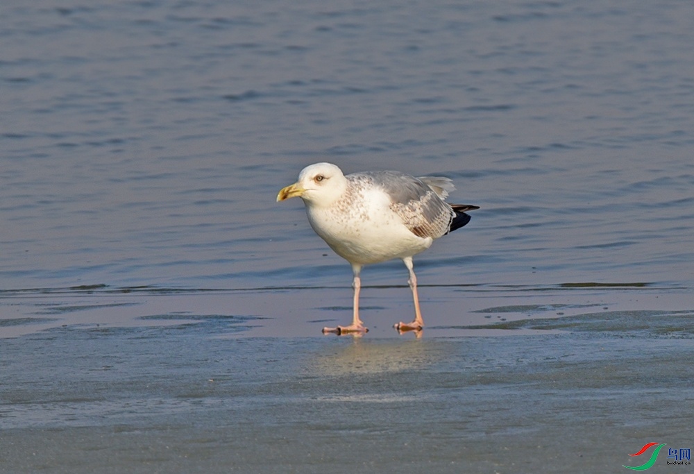 DSC_7506.jpg