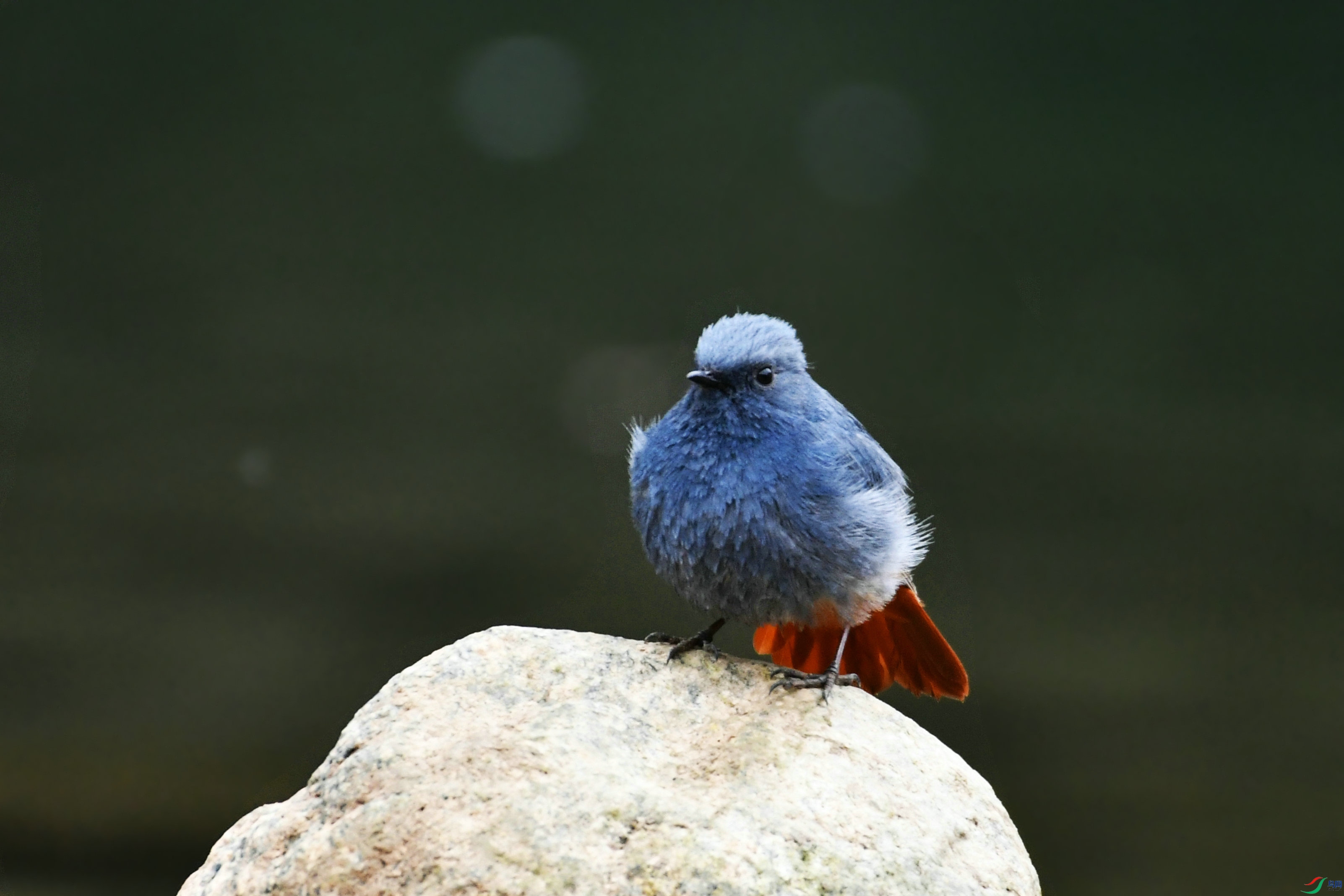 DSC_7256.JPG