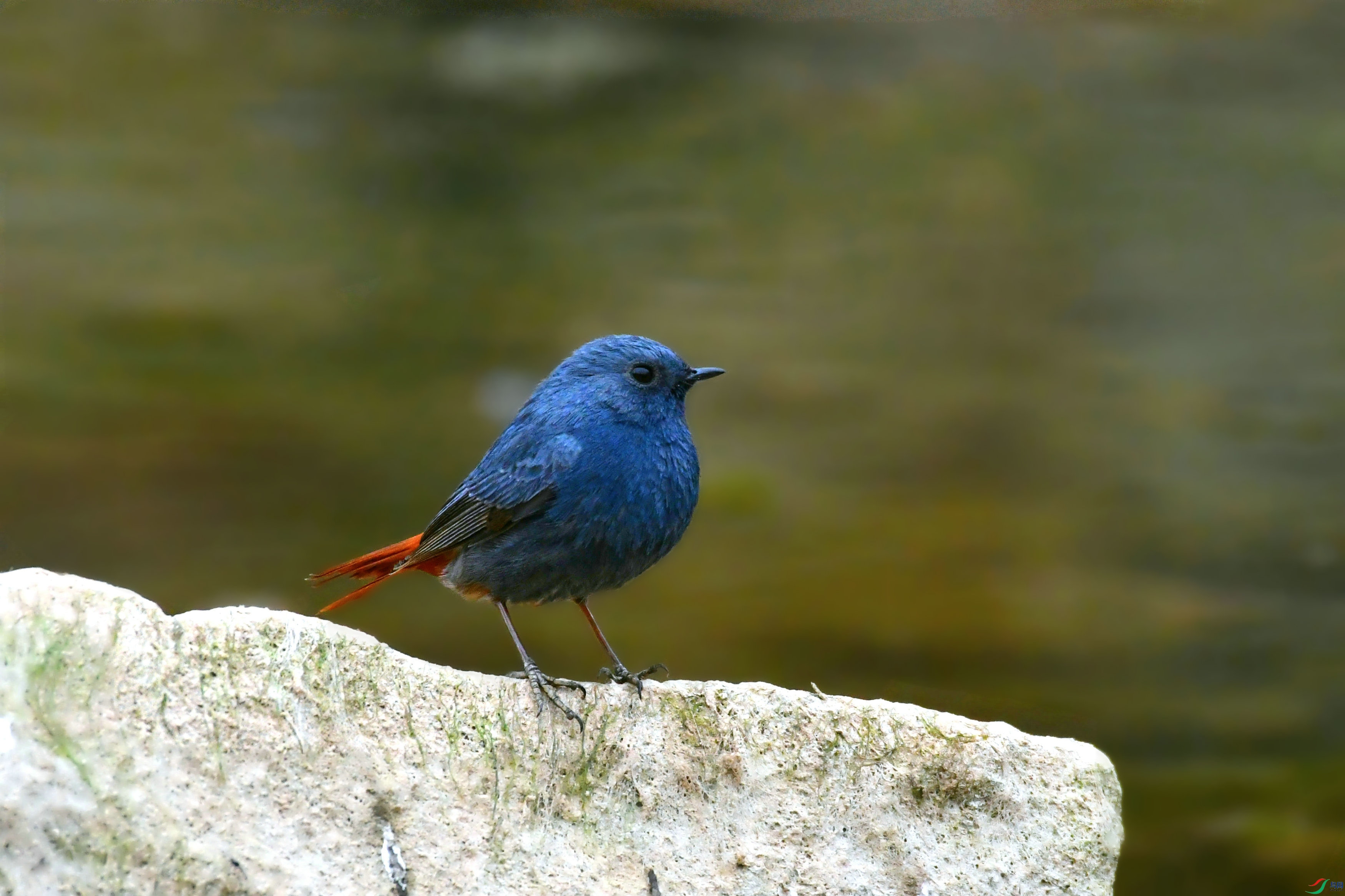 DSC_7414.JPG