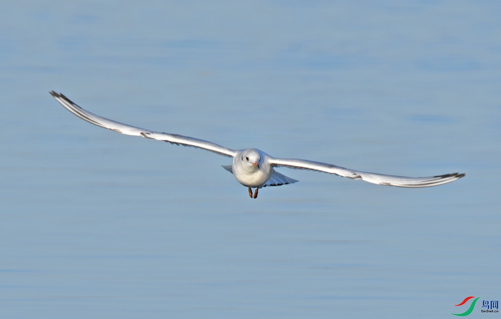 DSC_6717.jpg