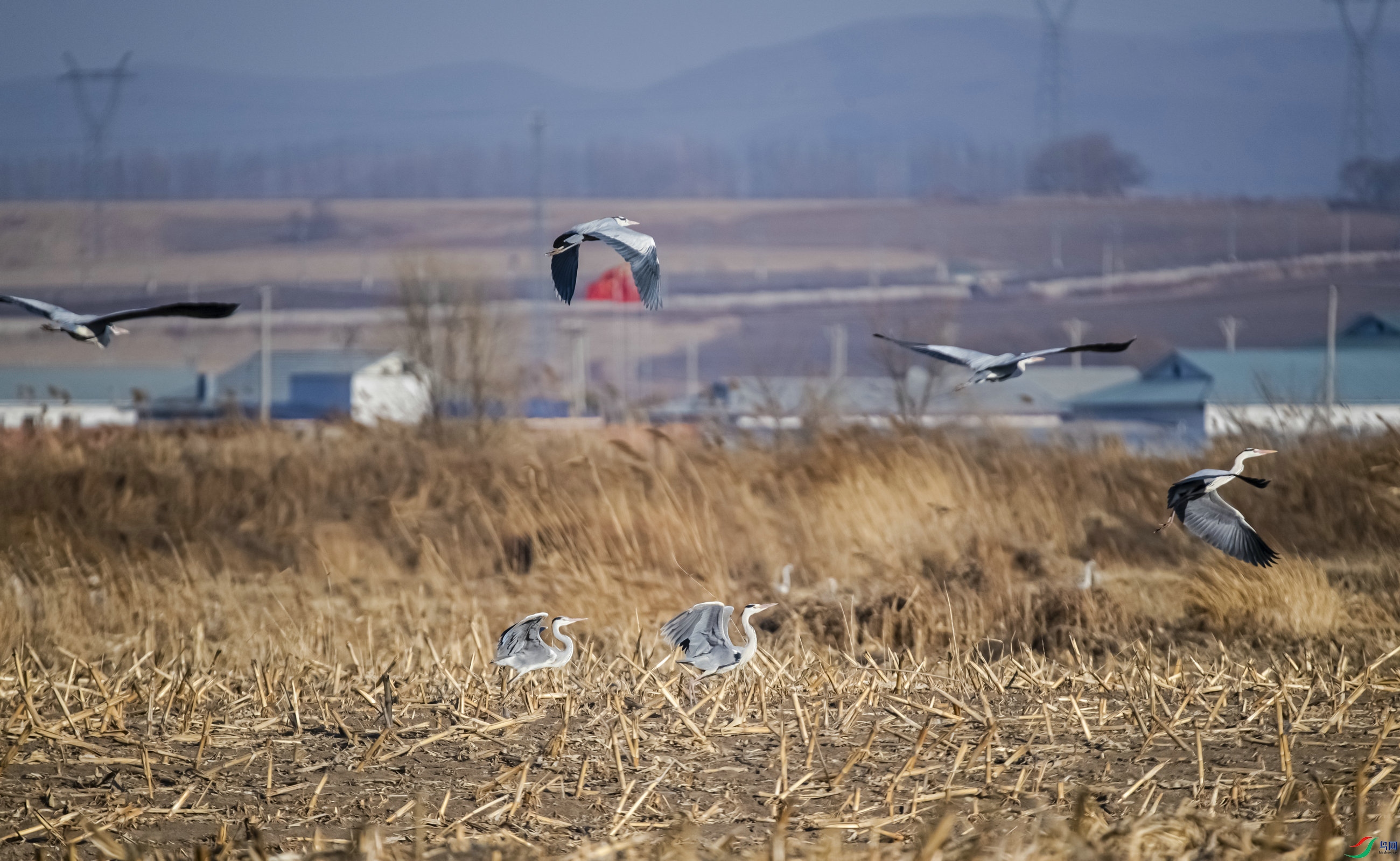 �ݲ�Զɽ���ط�