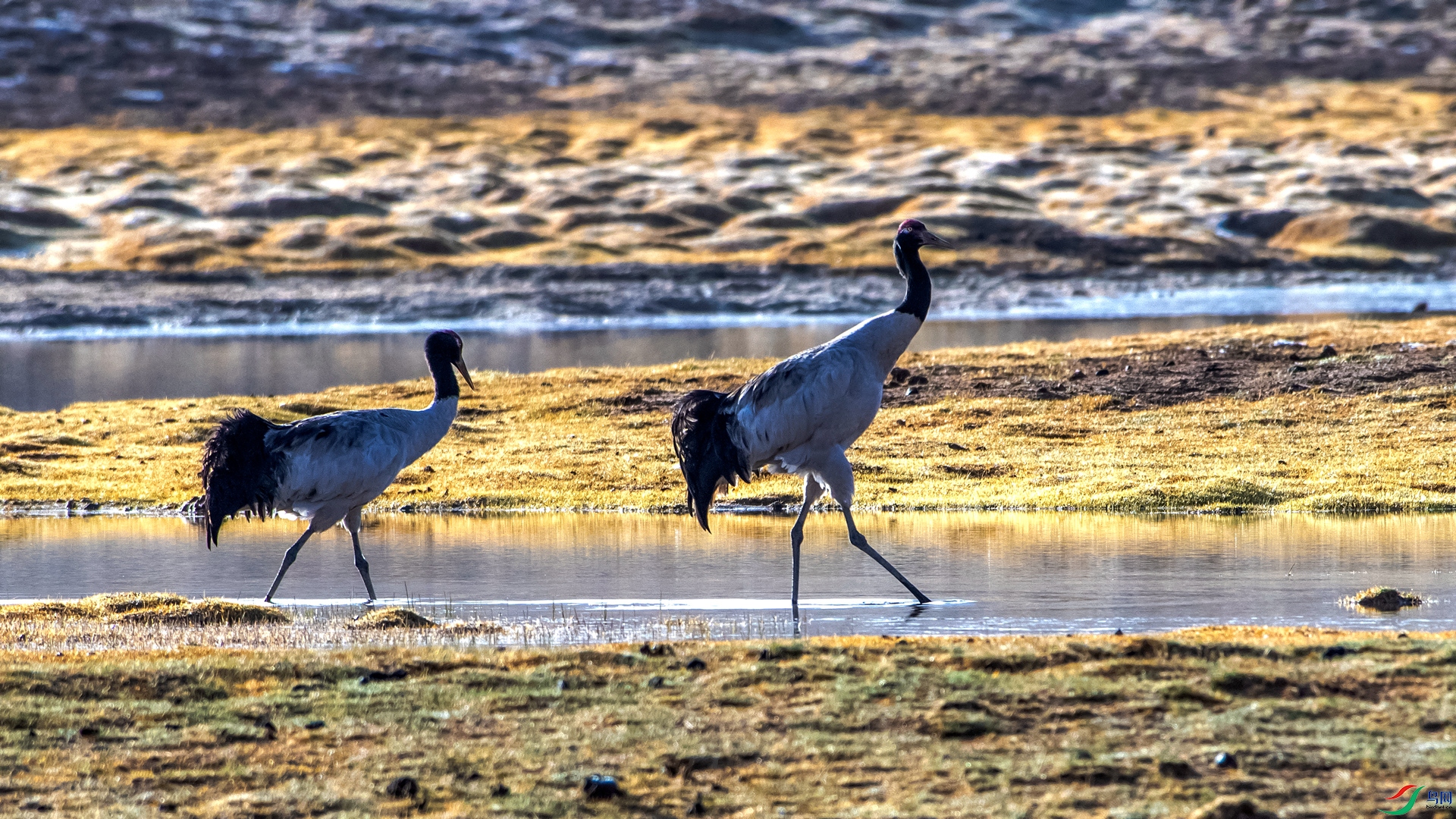 DSC_5258 - ����_����.jpg