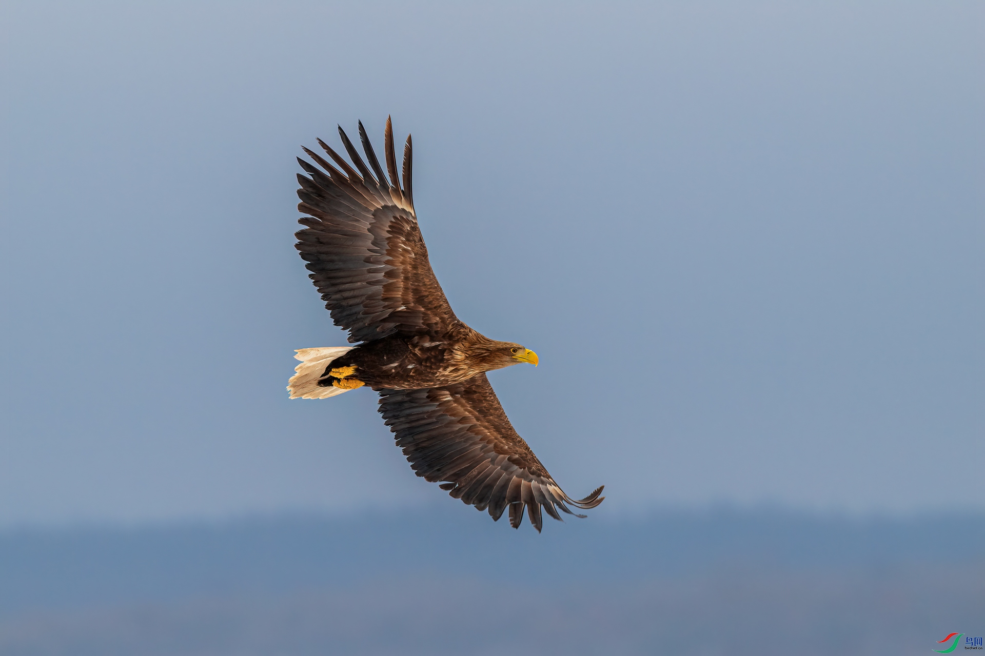 DSC_1943==1w.jpg