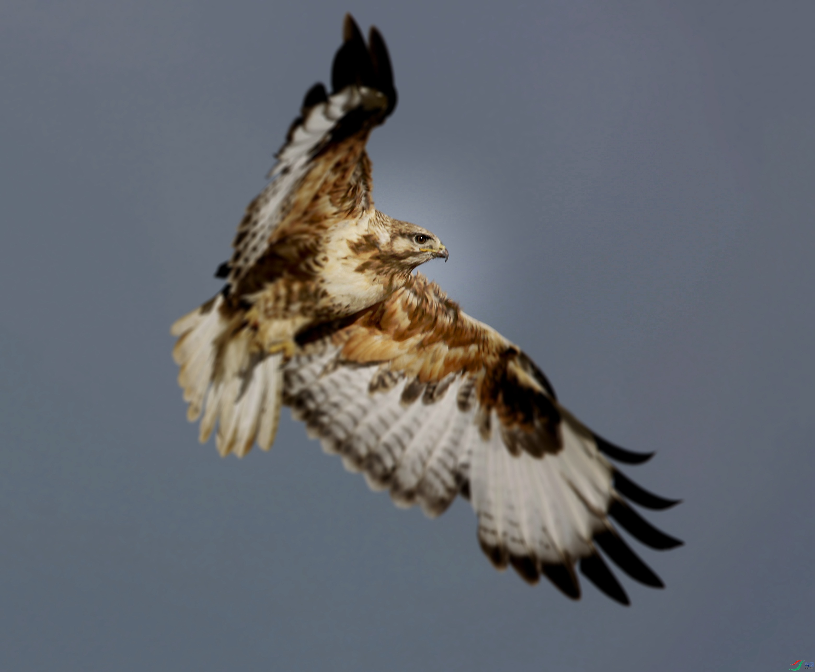 _39A0057_���� - ����.jpg