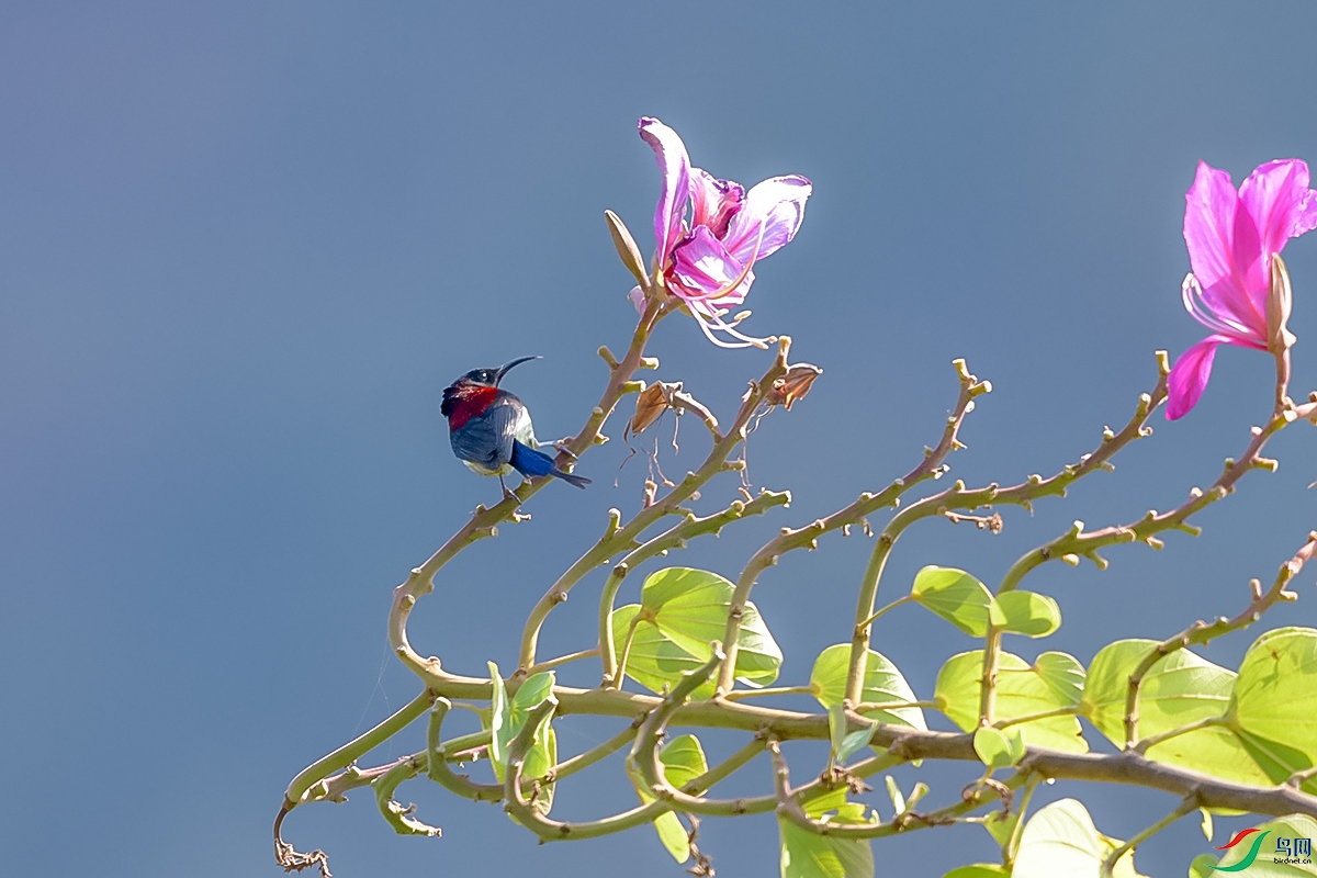 DSC_8354.JPG