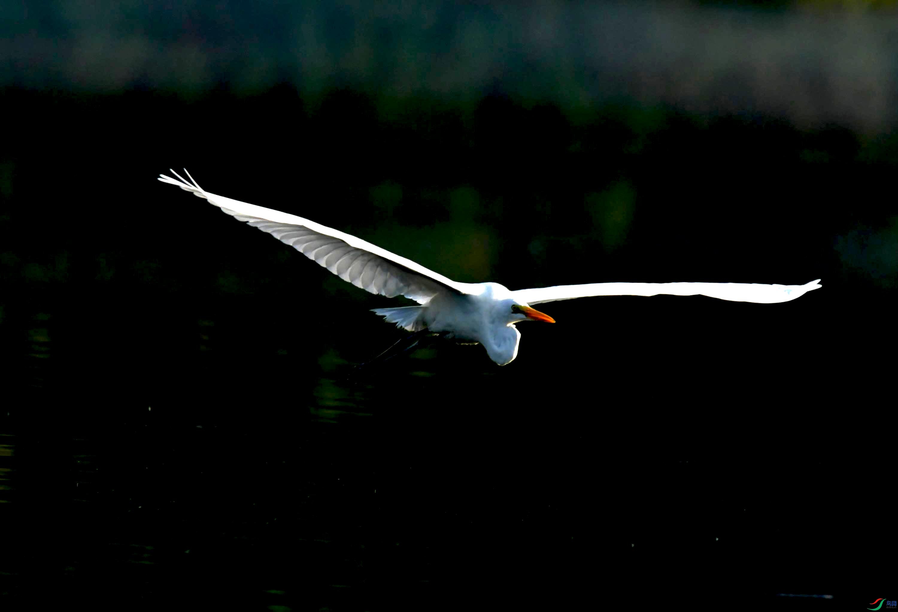 DSC_0768.JPG