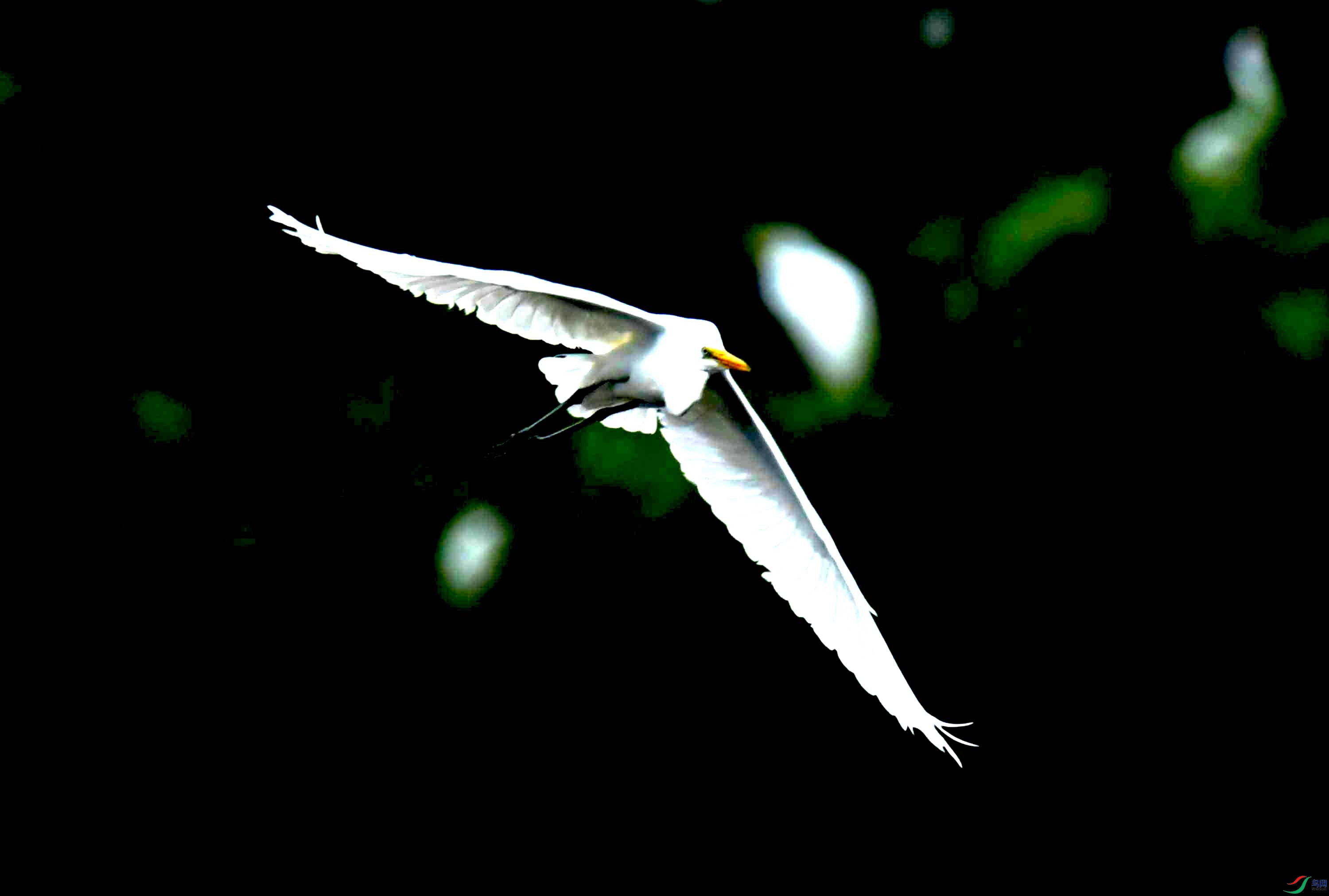 DSC_0812.JPG