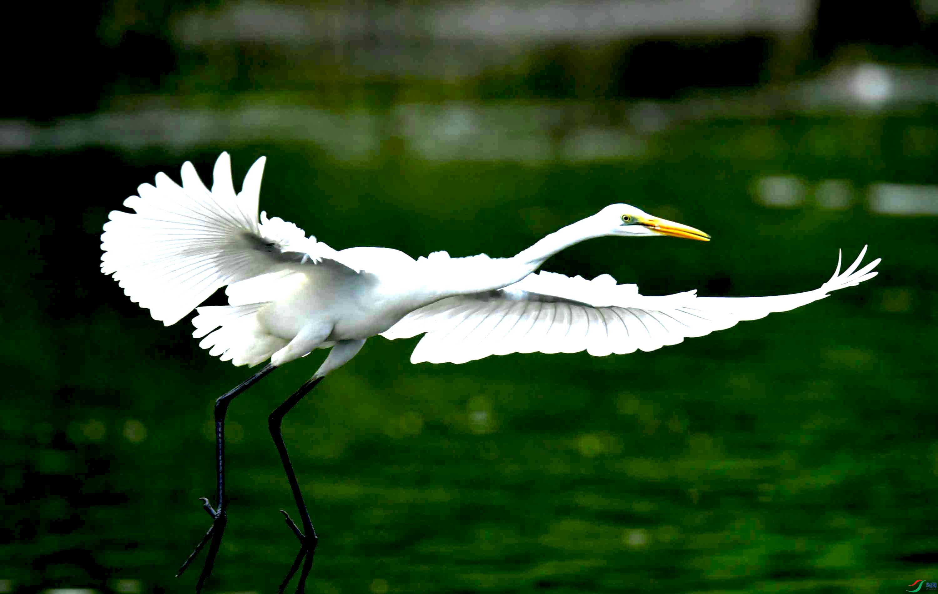 DSC_0880.JPG